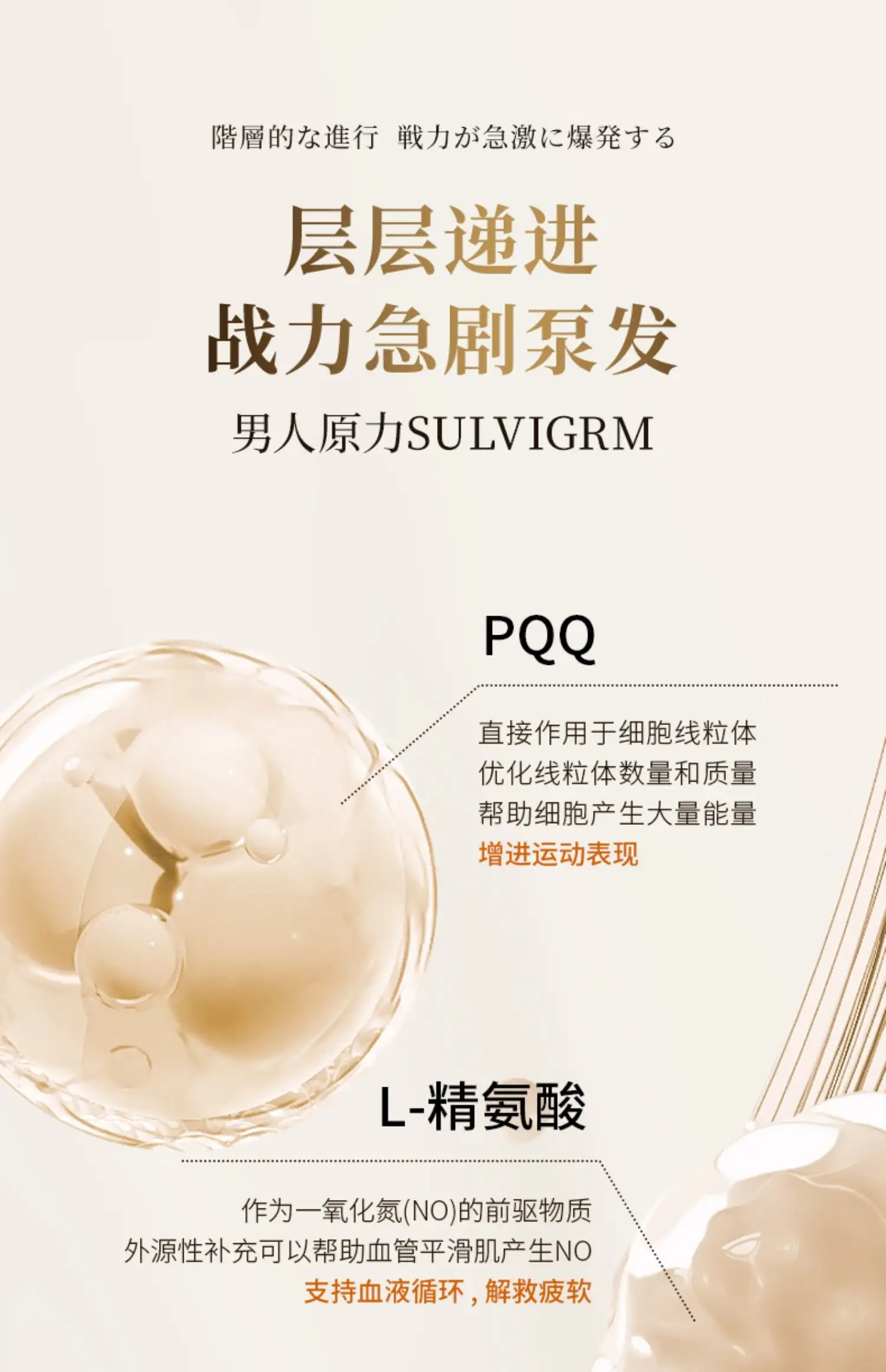 详情09.jpg
