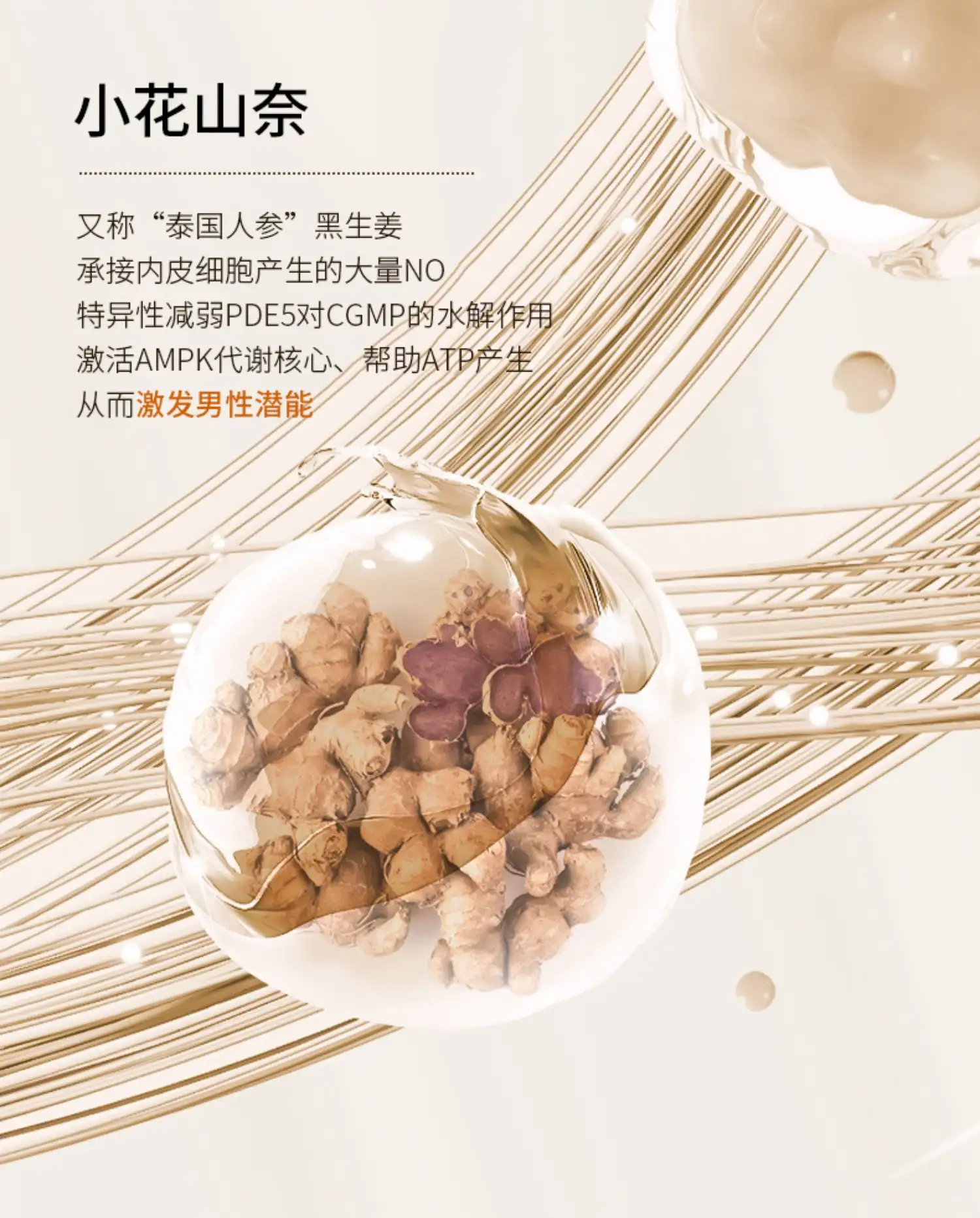 详情10.jpg