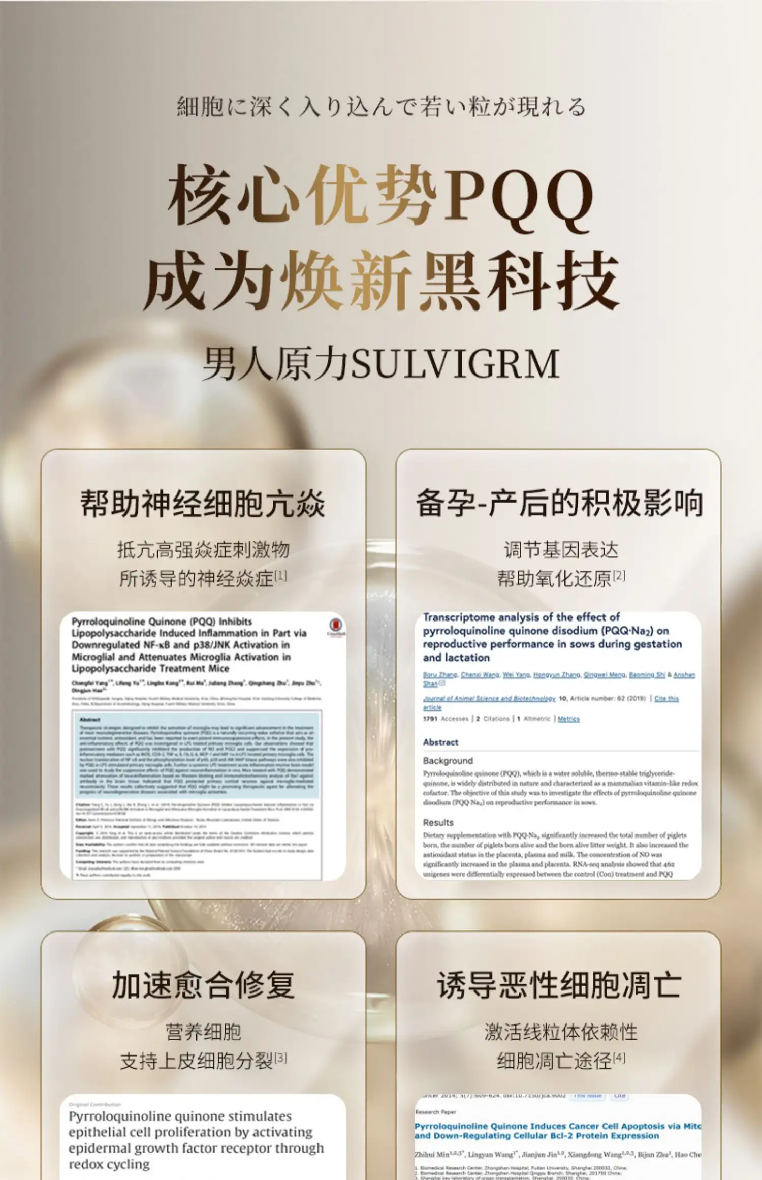 详情13.jpg