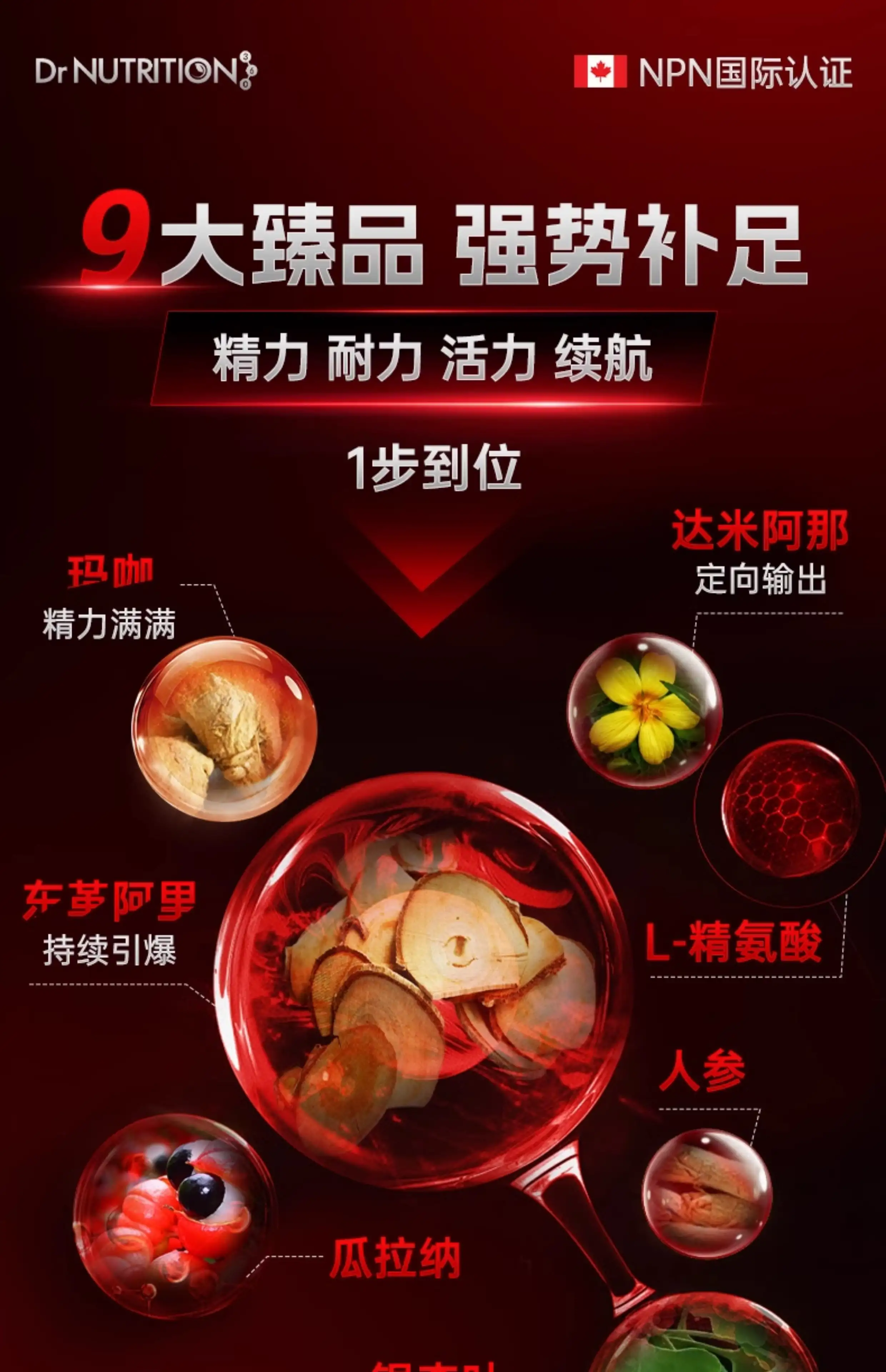 详情09.jpg