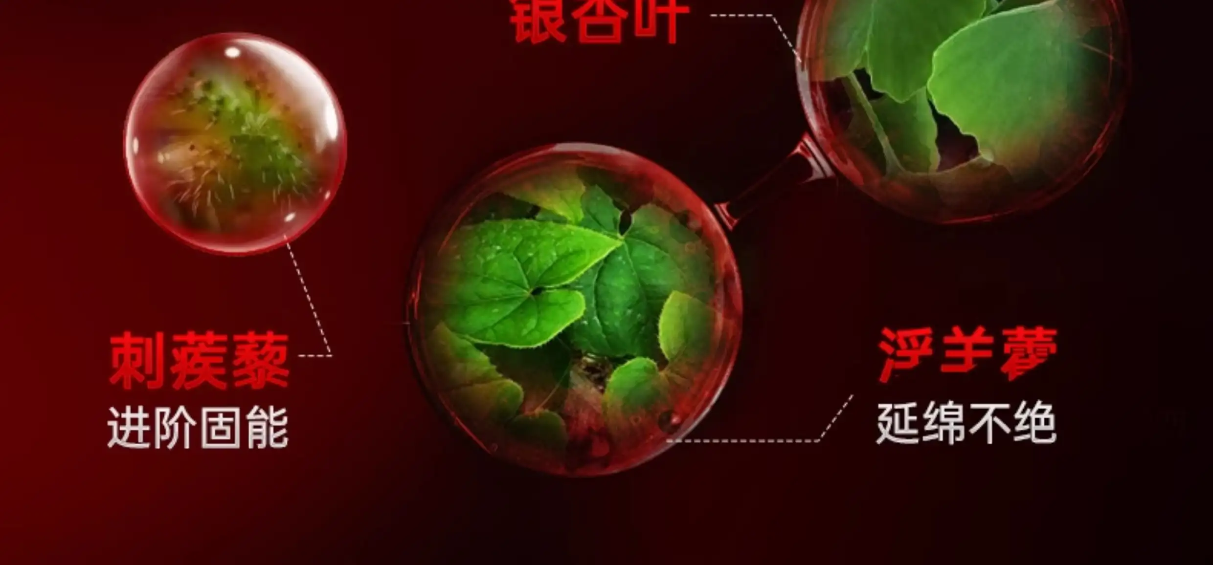 详情10.jpg