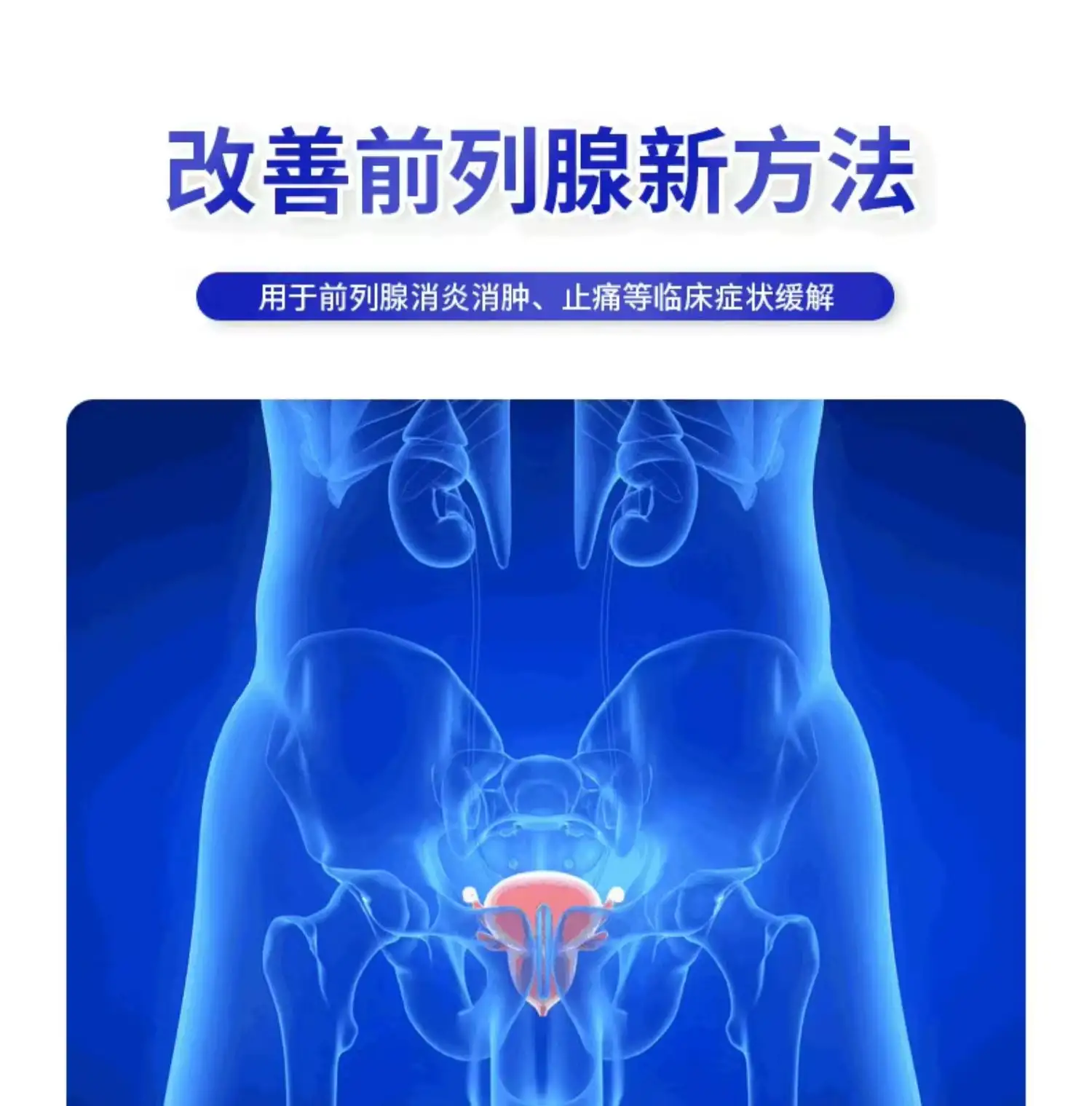 详情09.jpg