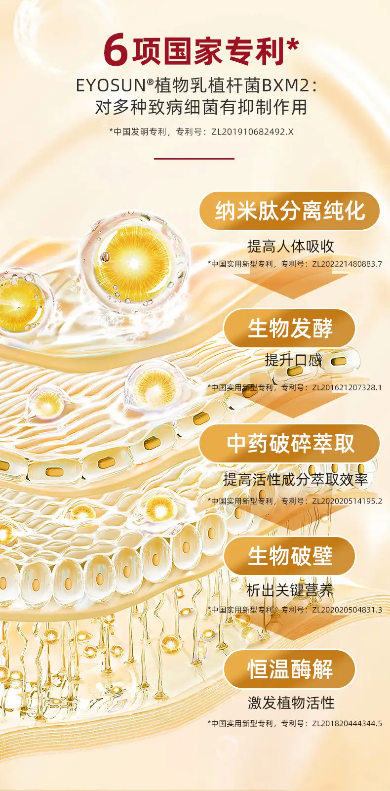 详情11.jpg