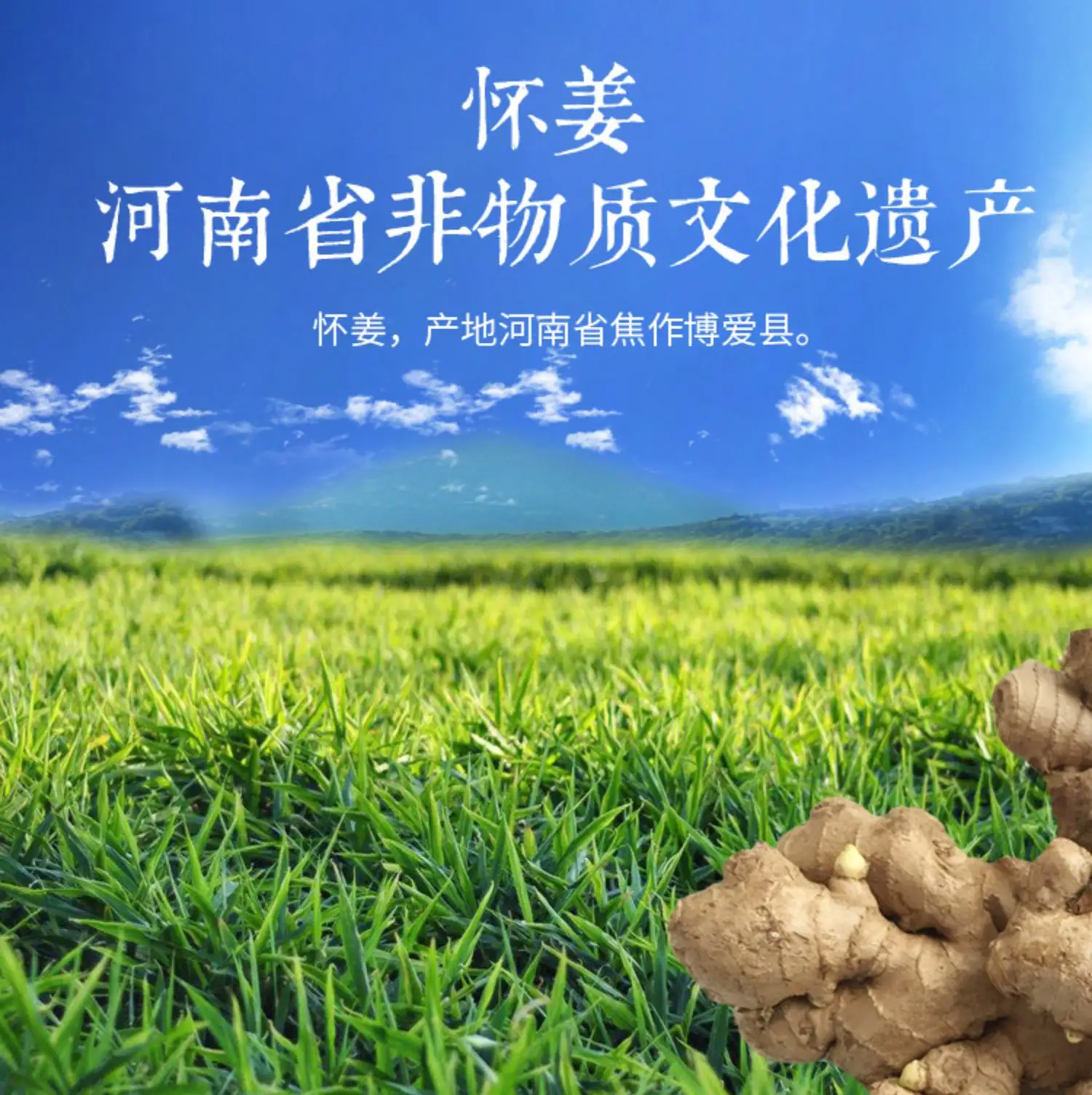 详情04.jpg