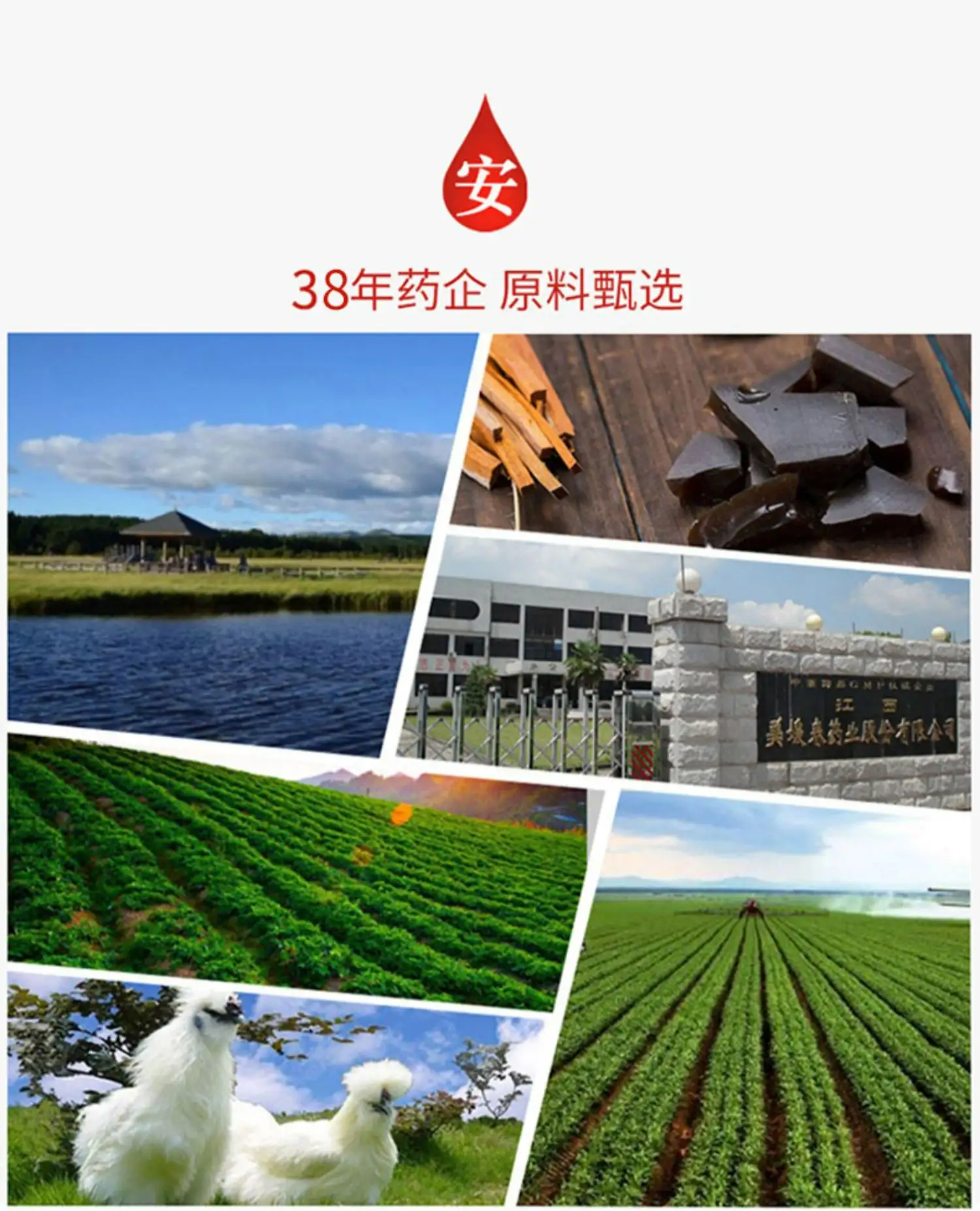 详情08.jpg