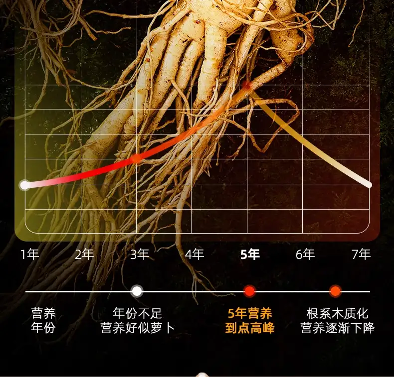 详情08.jpg