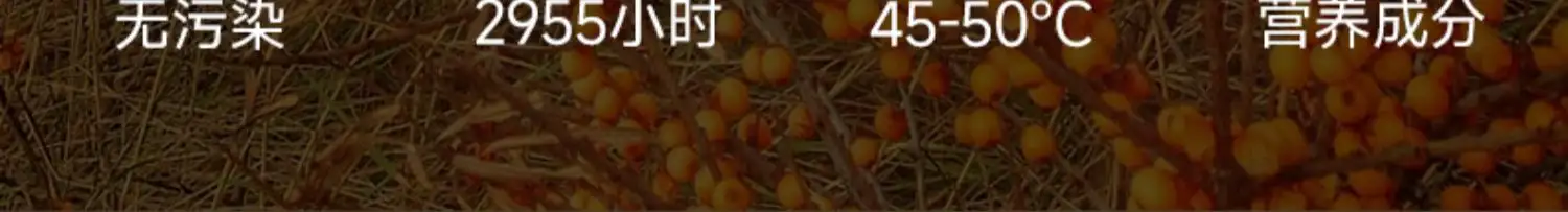 详情11.jpg