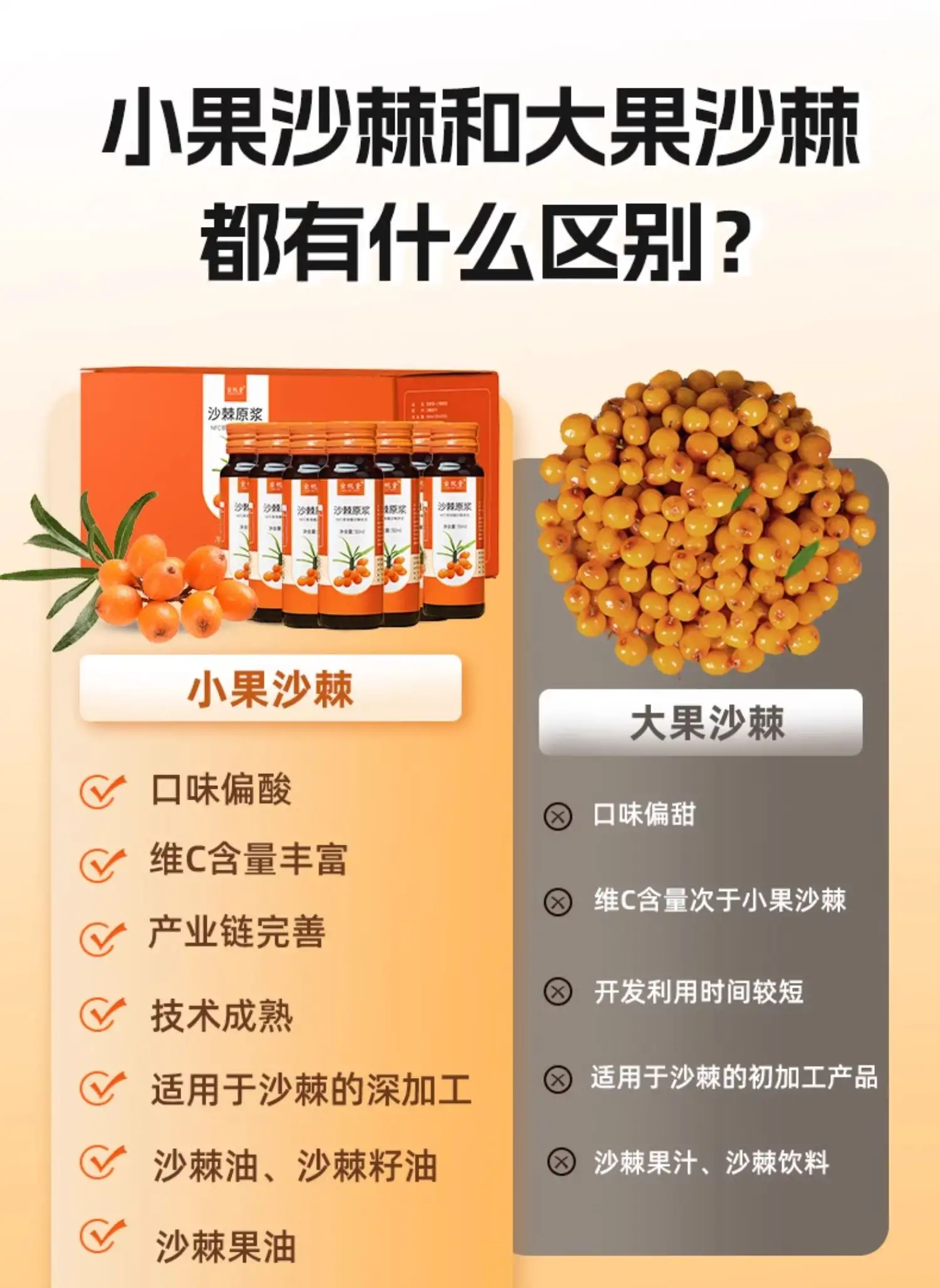 详情12.jpg