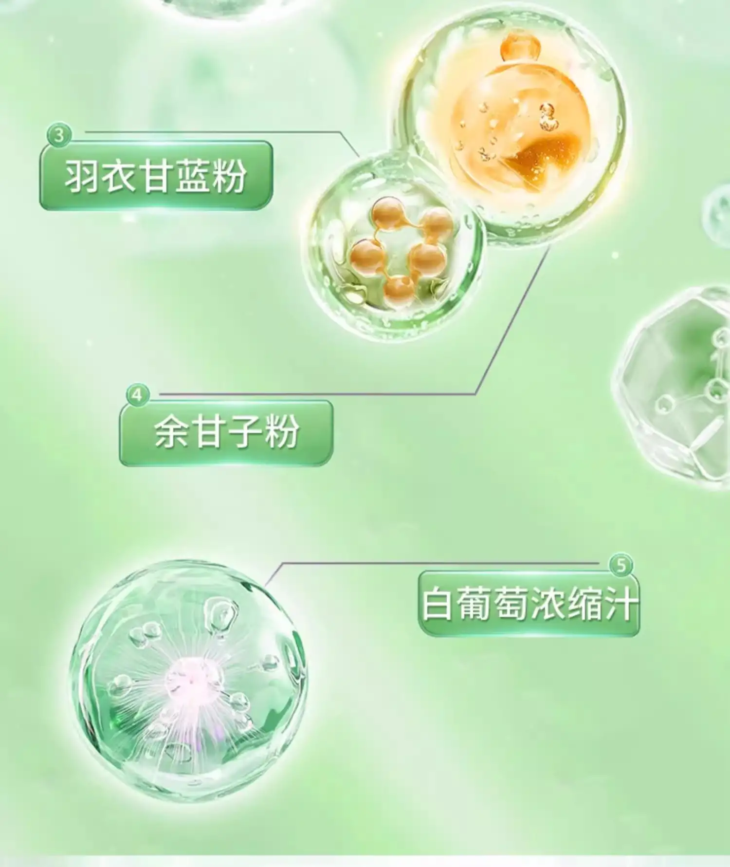 详情07.jpg