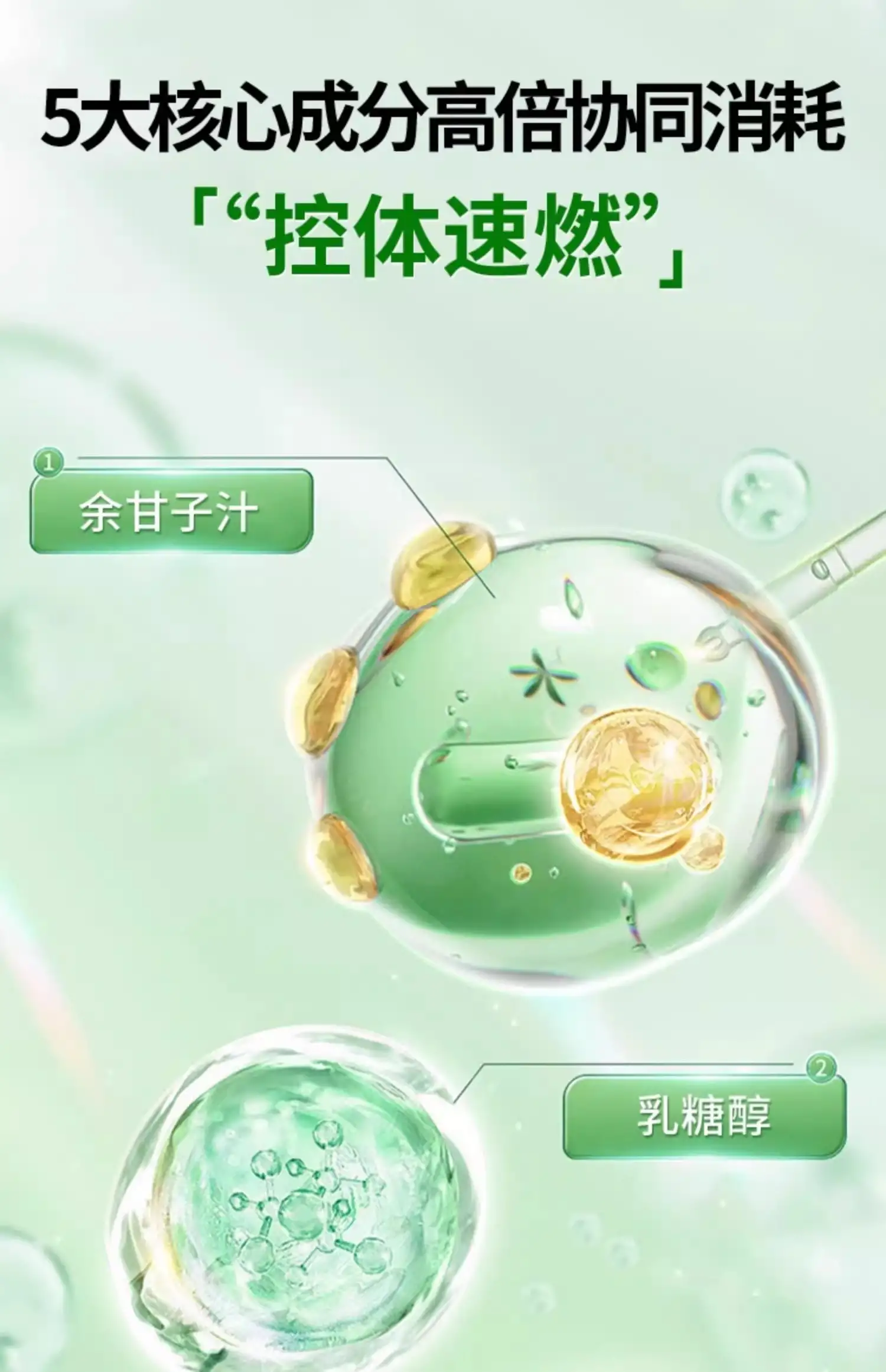 详情06.jpg
