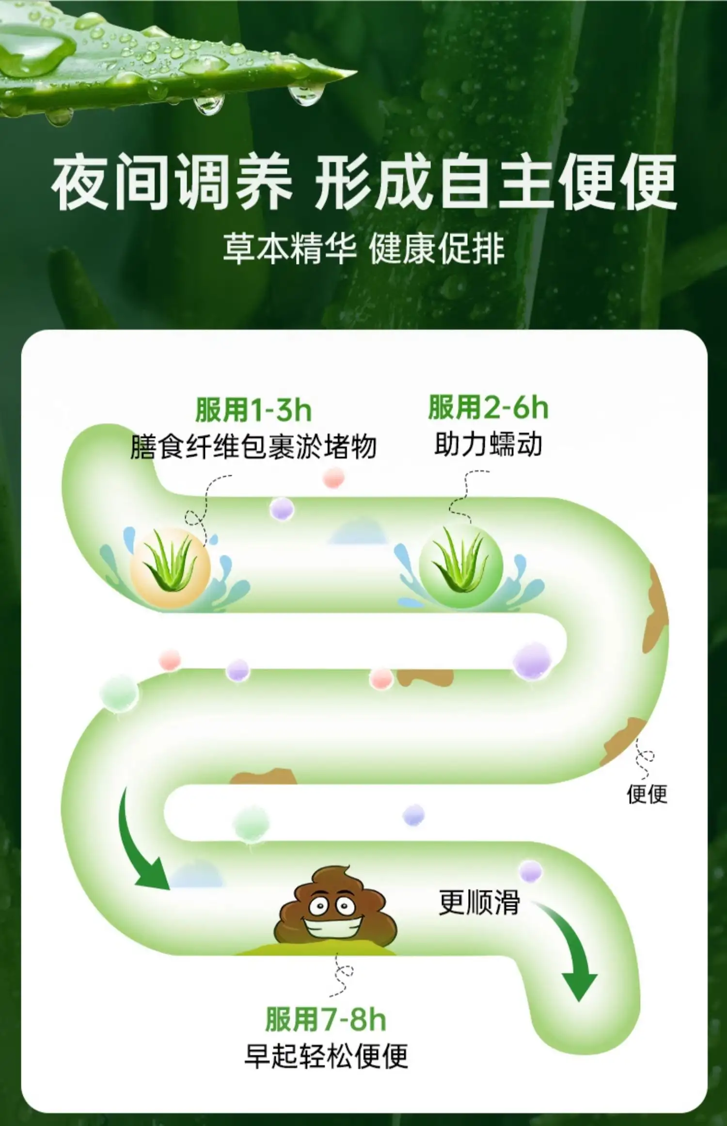 详情15.jpg