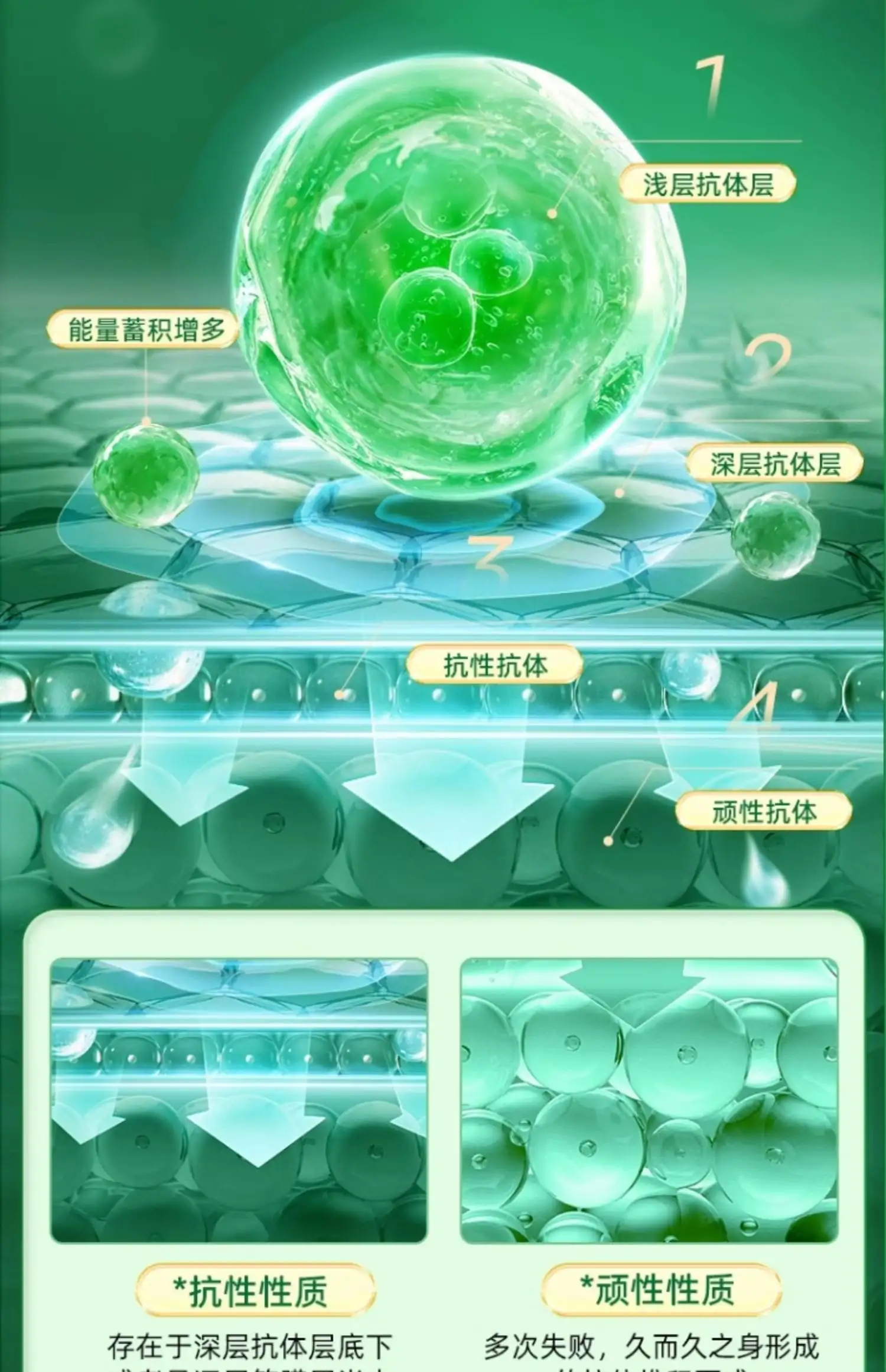 详情08.jpg