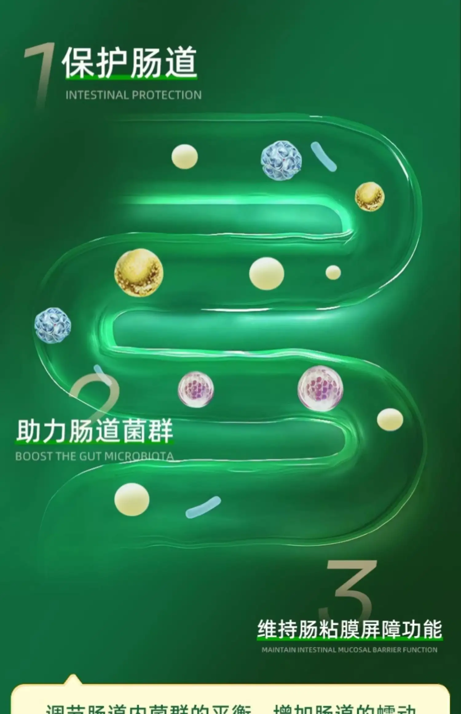 详情12.jpg