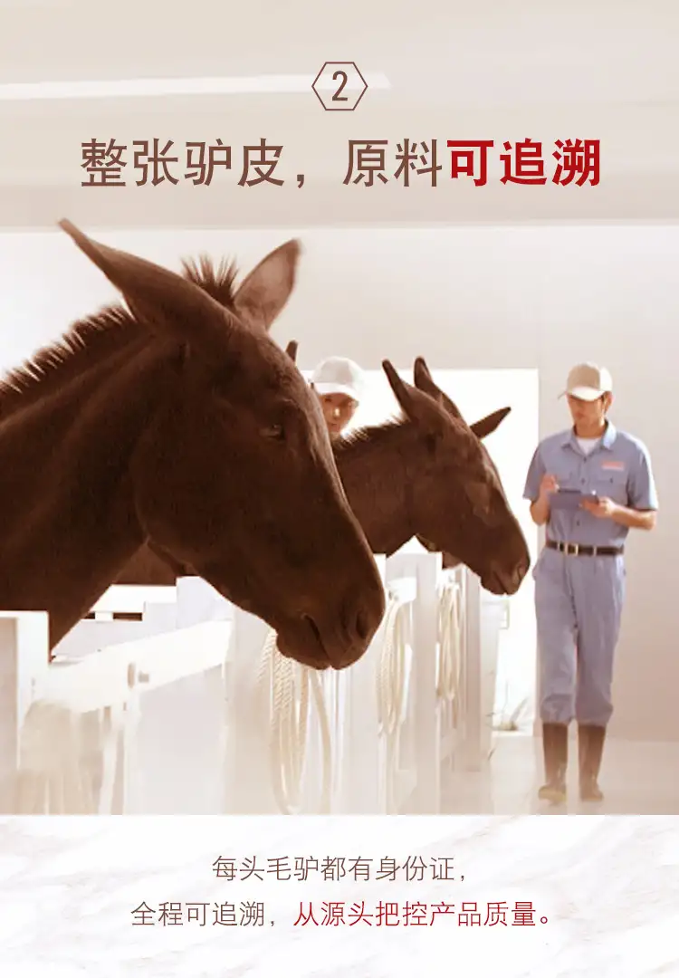 详情04.jpg