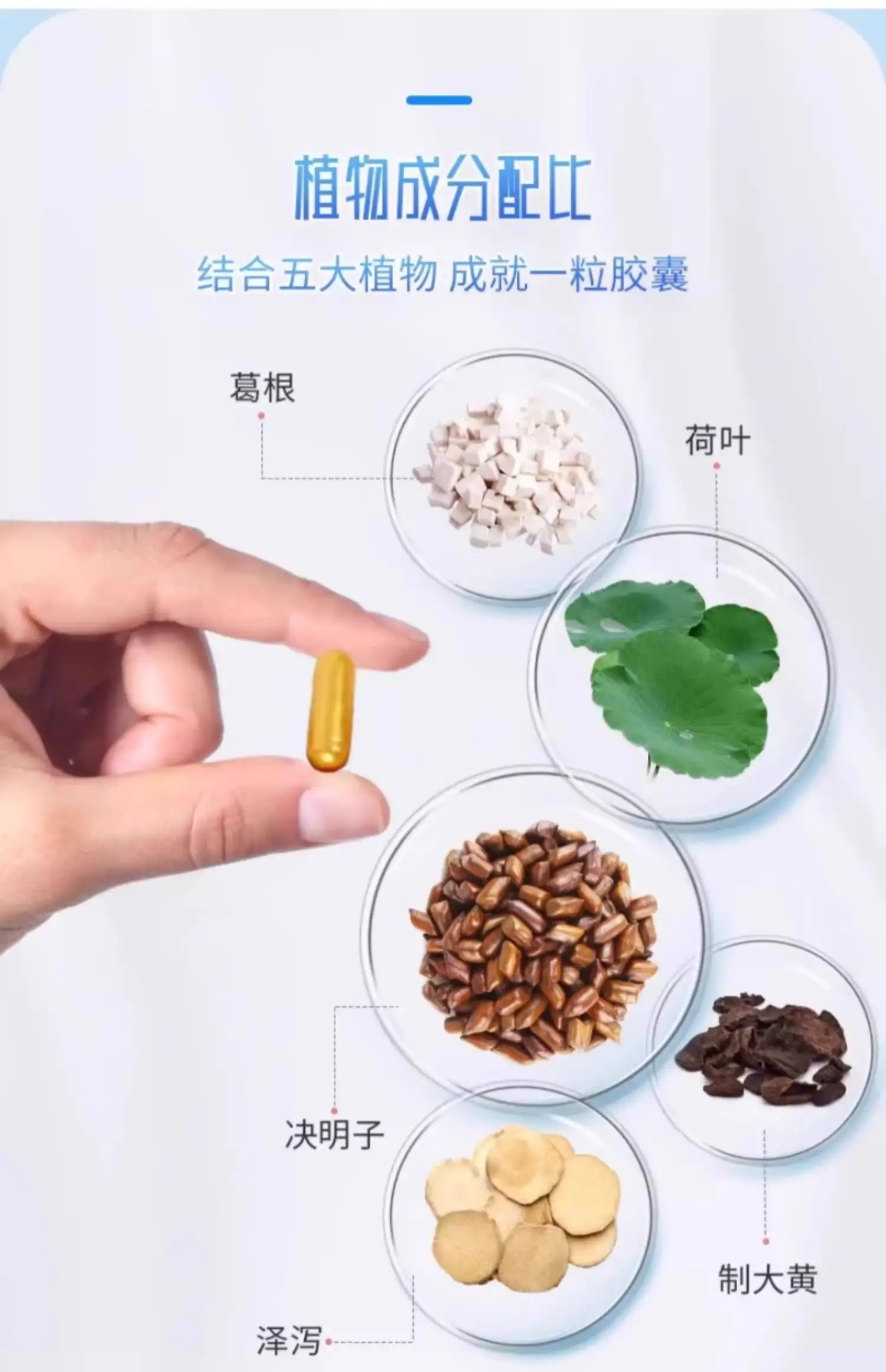 详情09.jpg