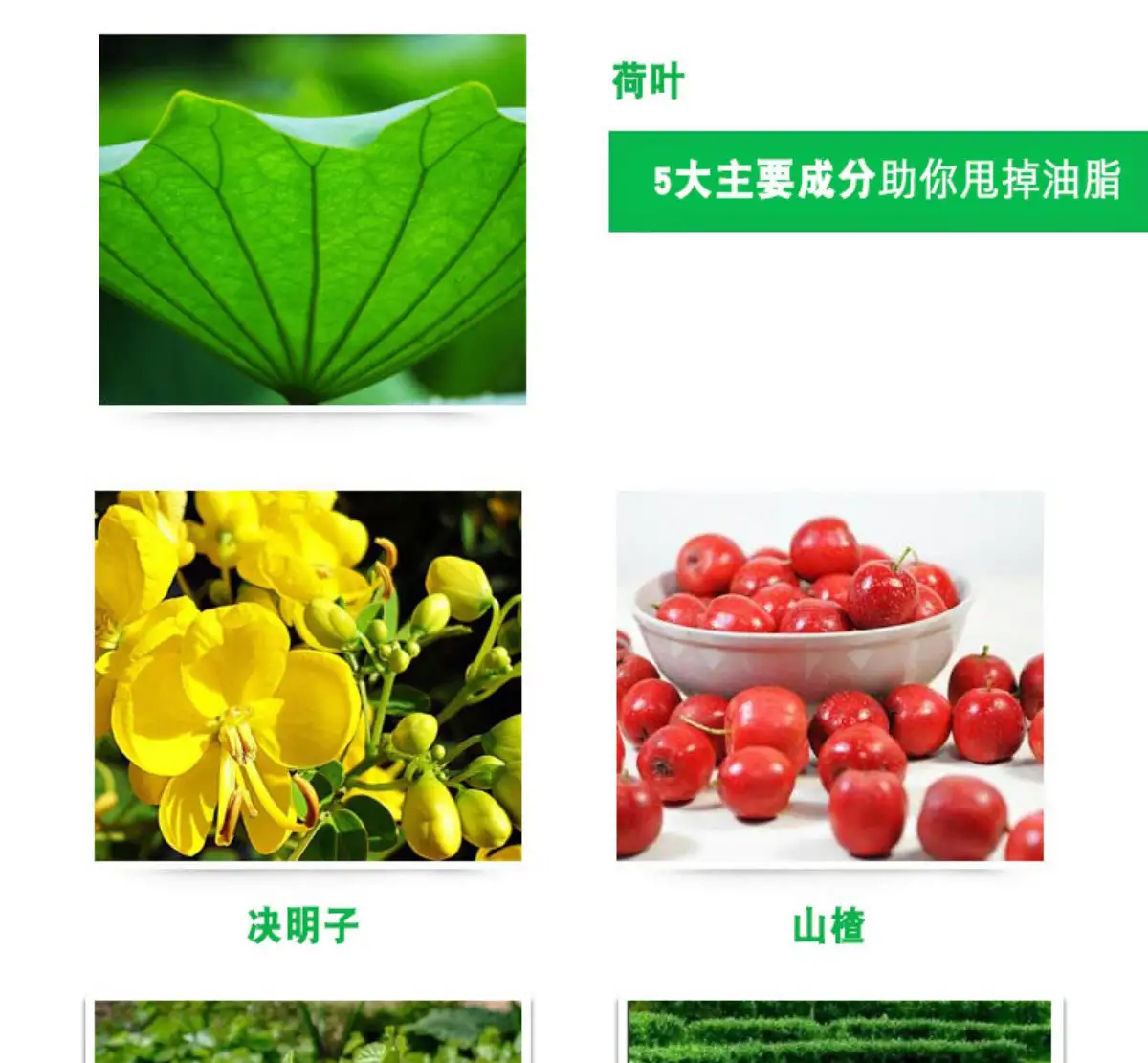详情05.jpg