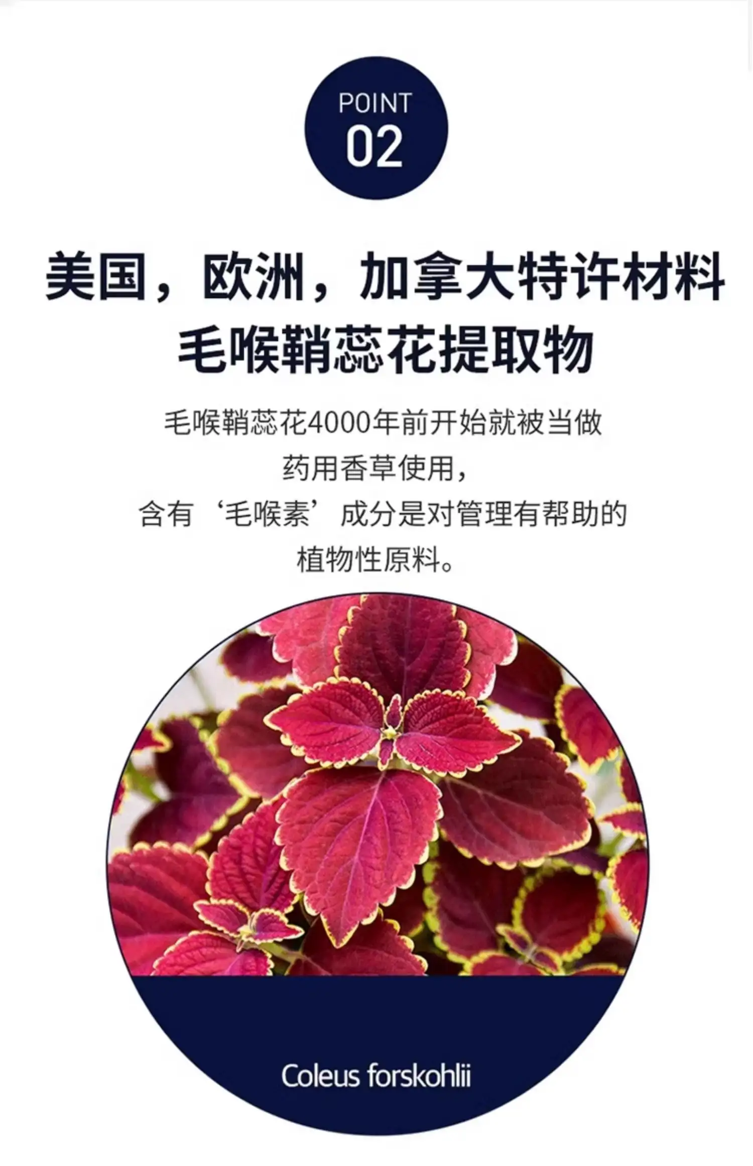 详情12.jpg