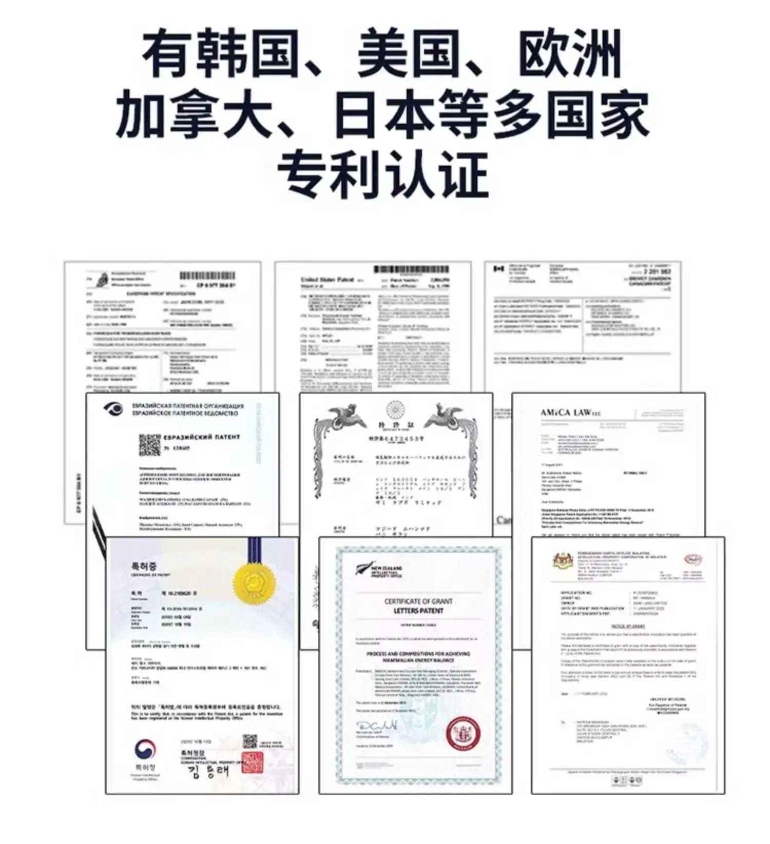 详情13.jpg