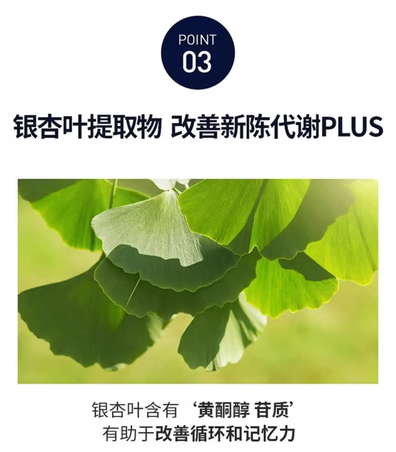 详情17.jpg