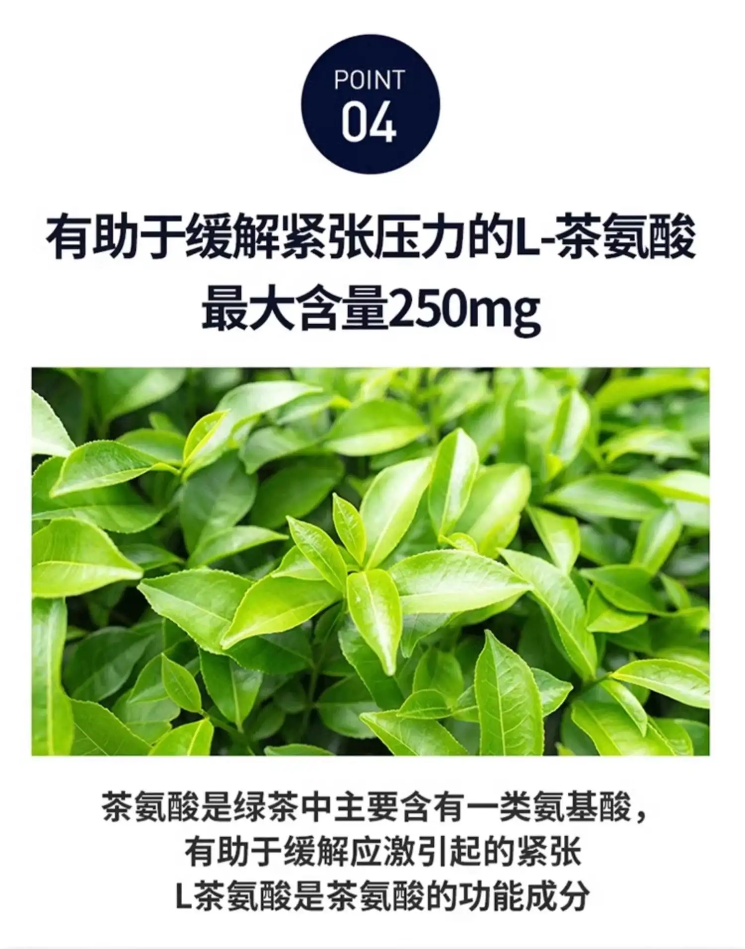 详情20.jpg