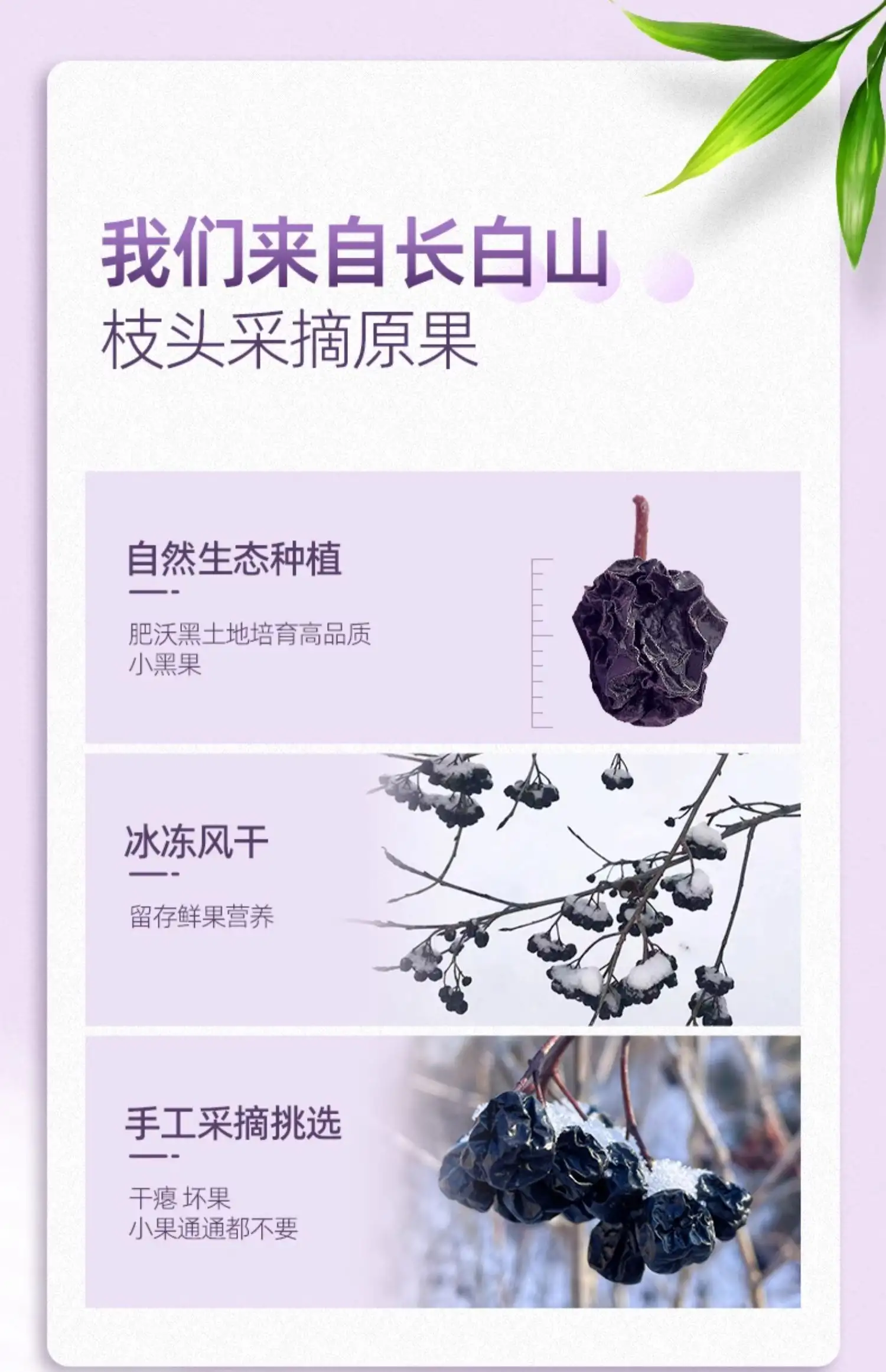 详情09.jpg