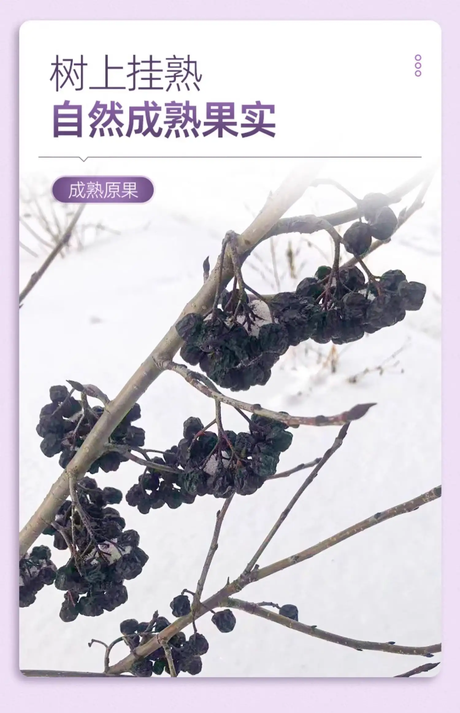 详情12.jpg