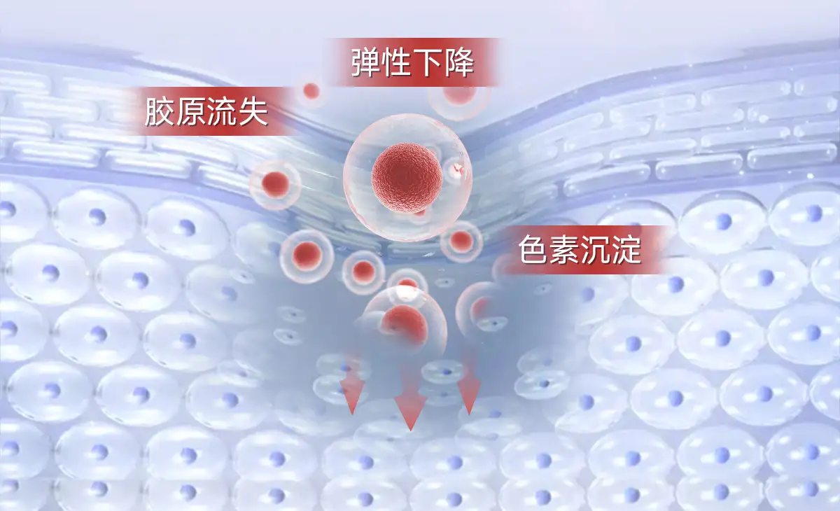 详情08.jpg