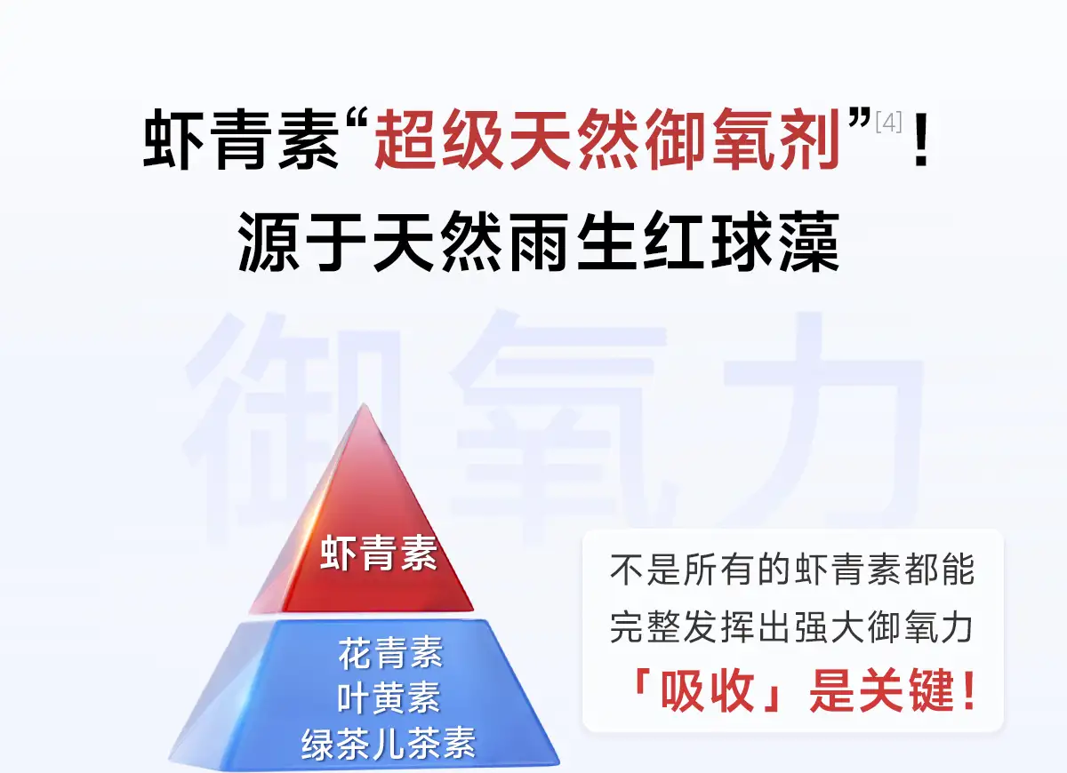 详情09.jpg