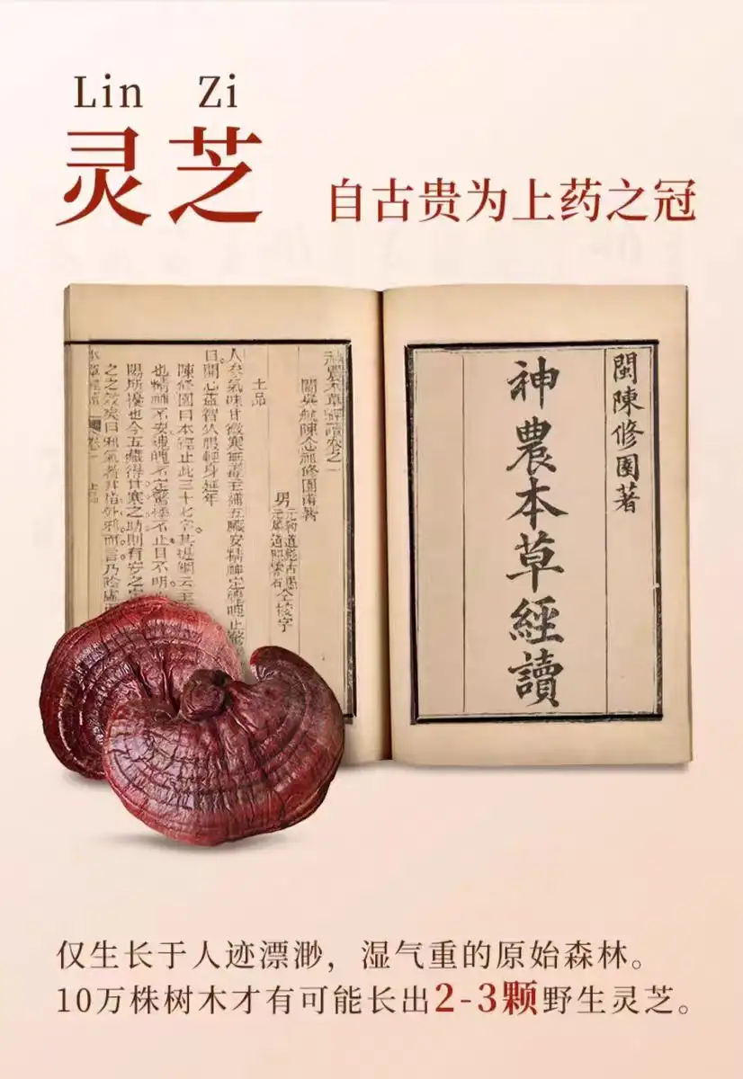 详情07.jpg