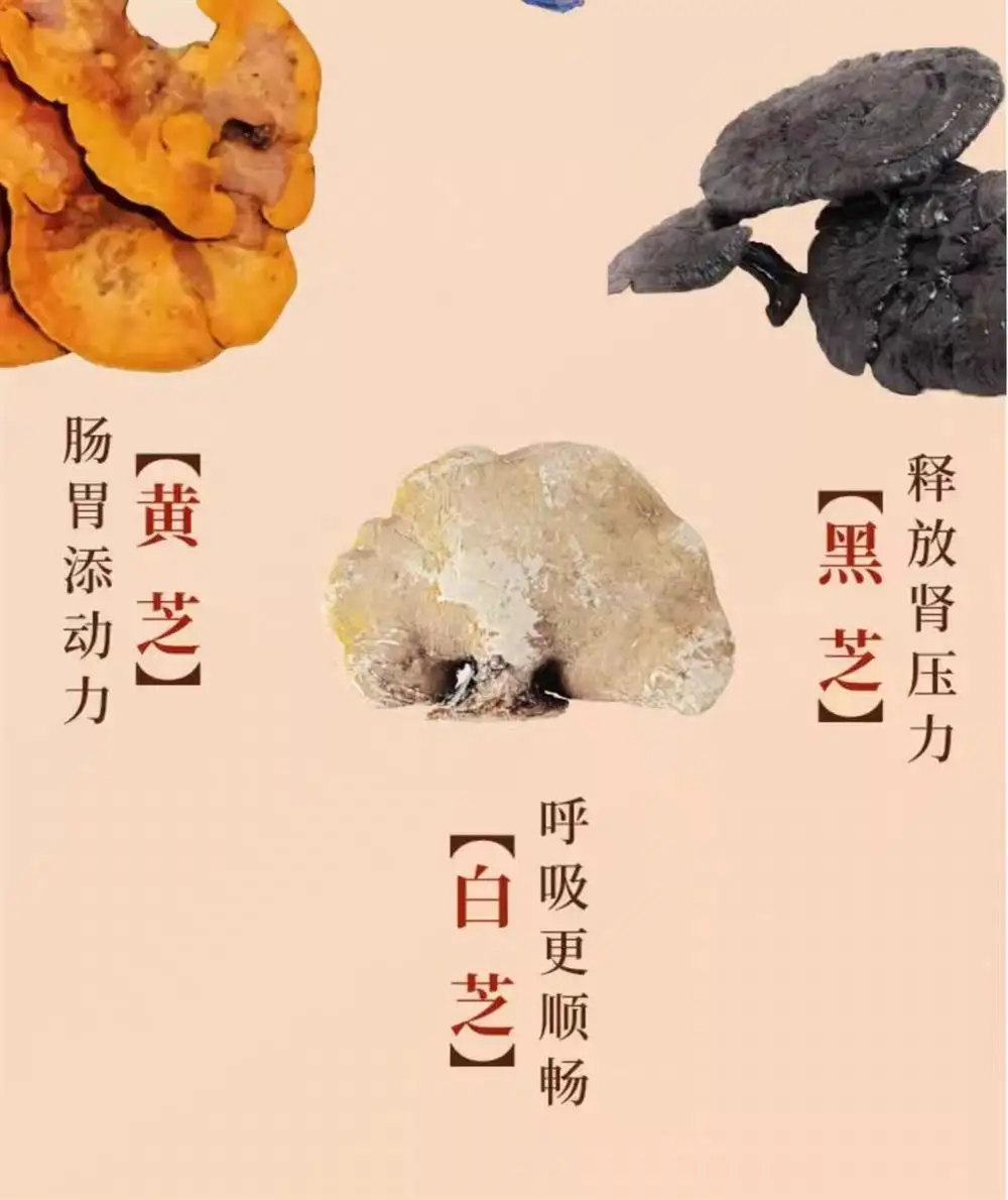 详情09.jpg