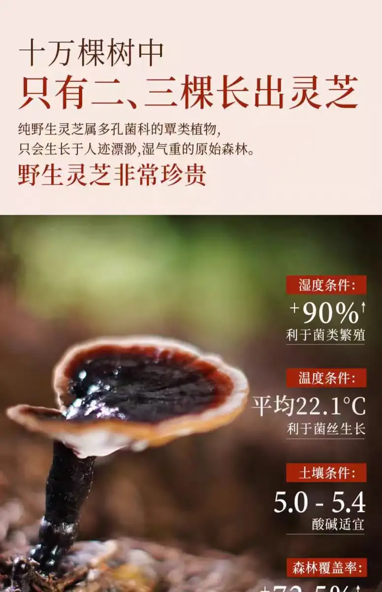 详情17.jpg