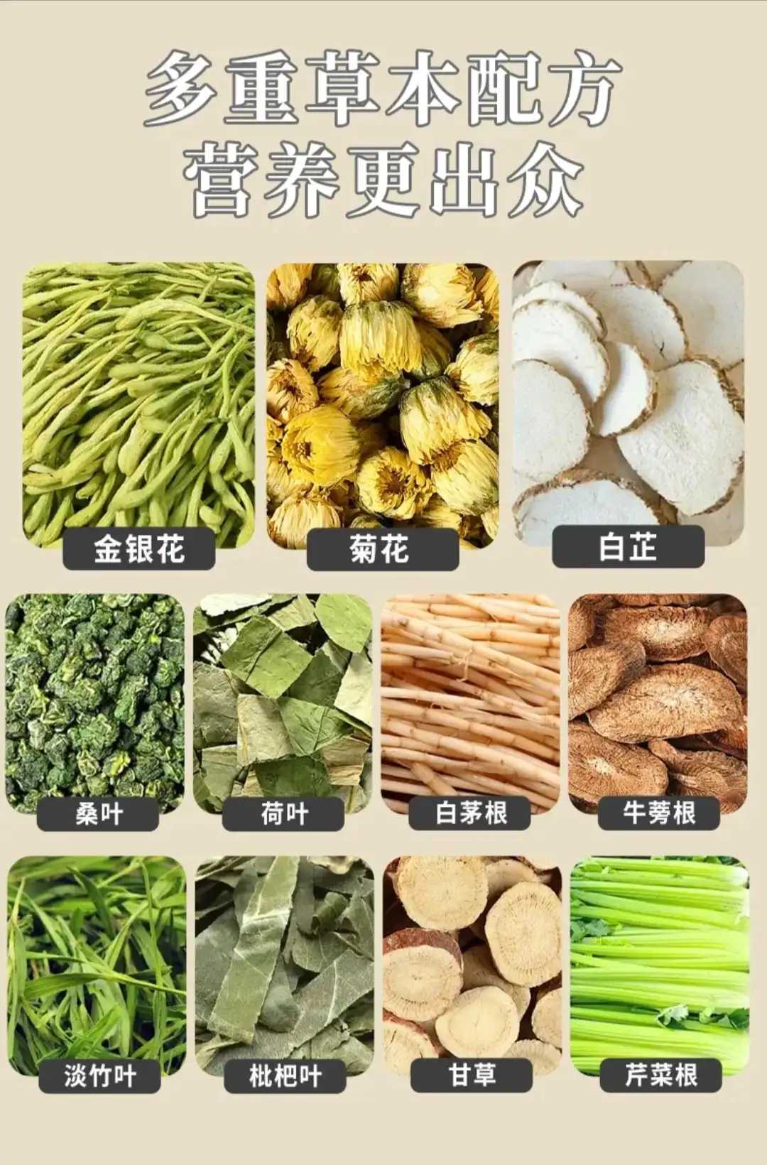 详情03.jpg
