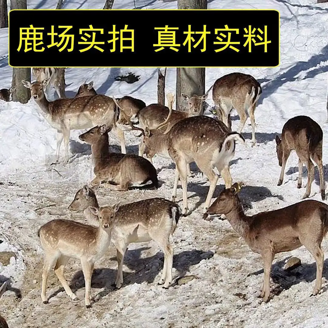 详情08.jpg