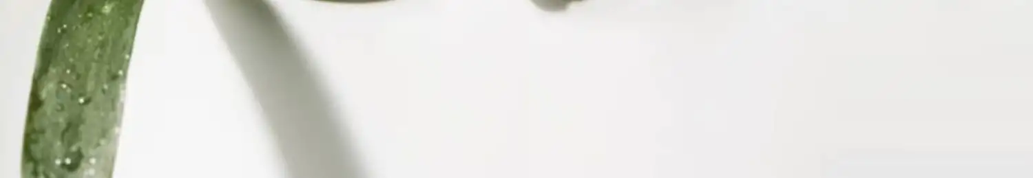 详情02.jpg
