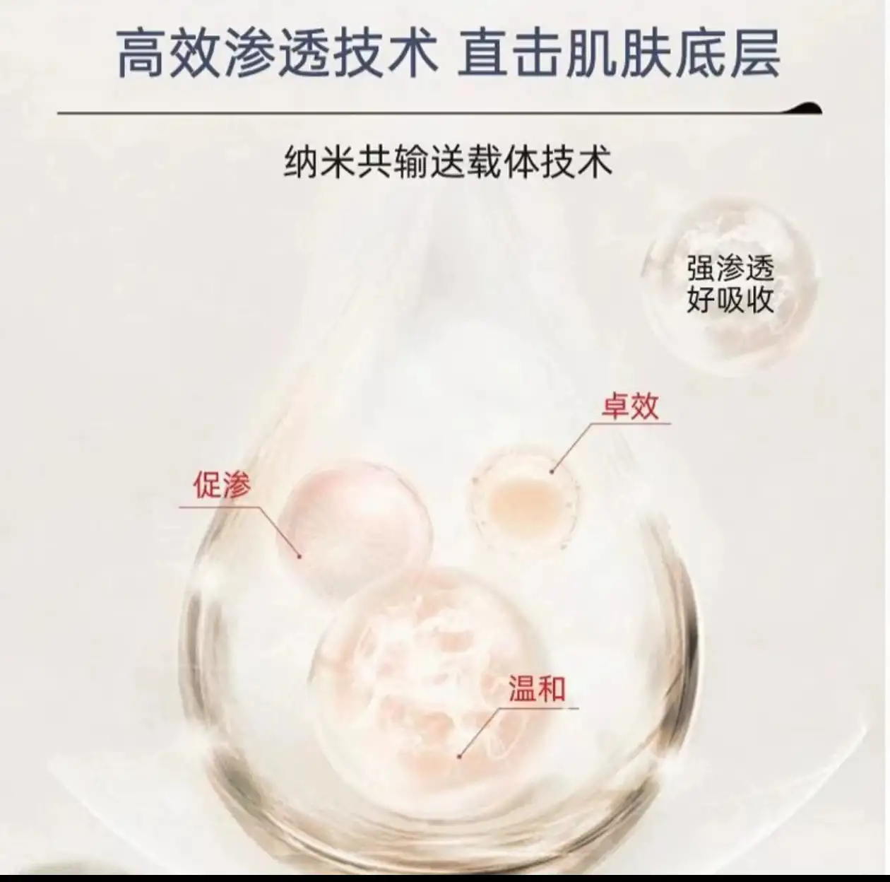 详情03.jpg