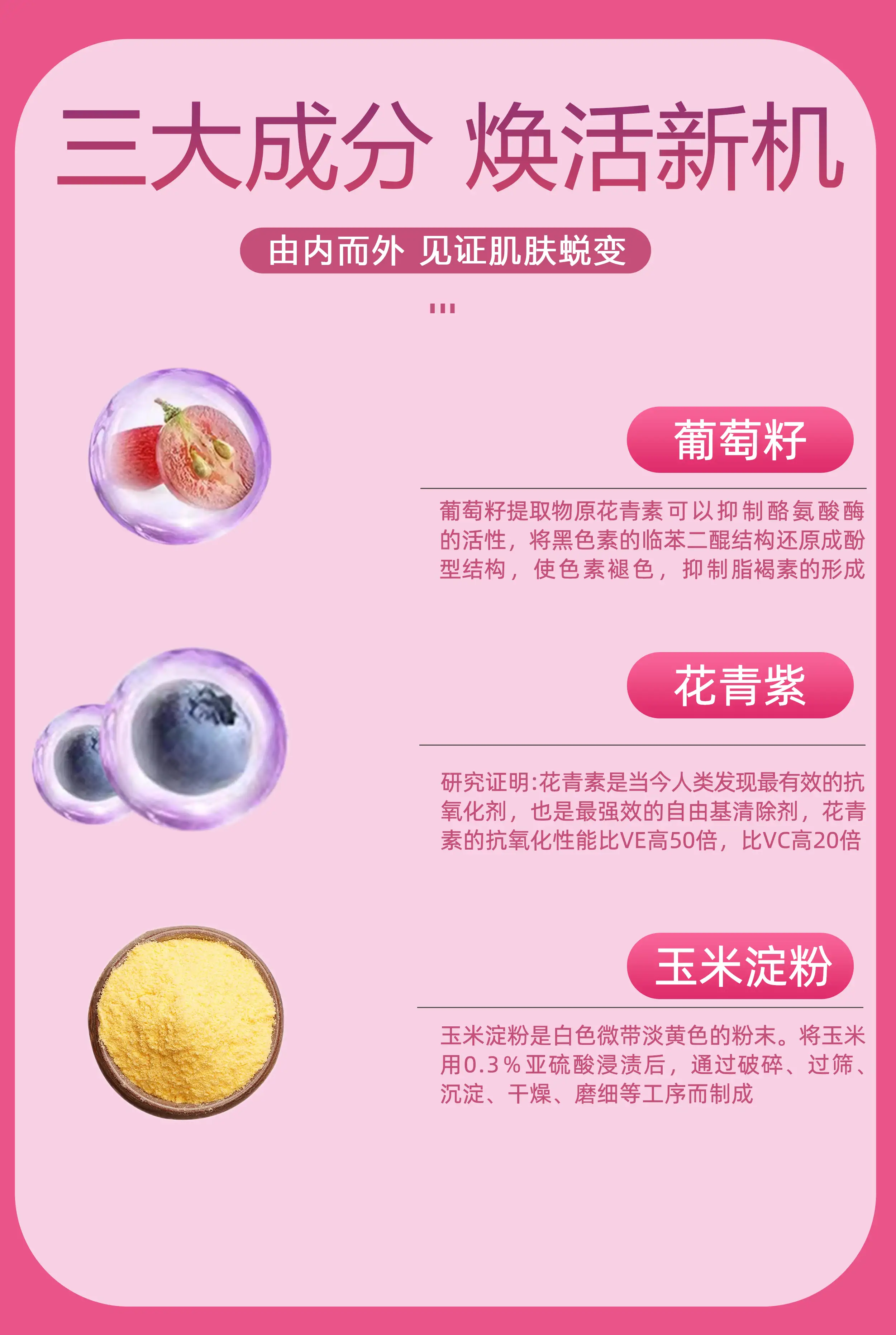 详情07.jpg