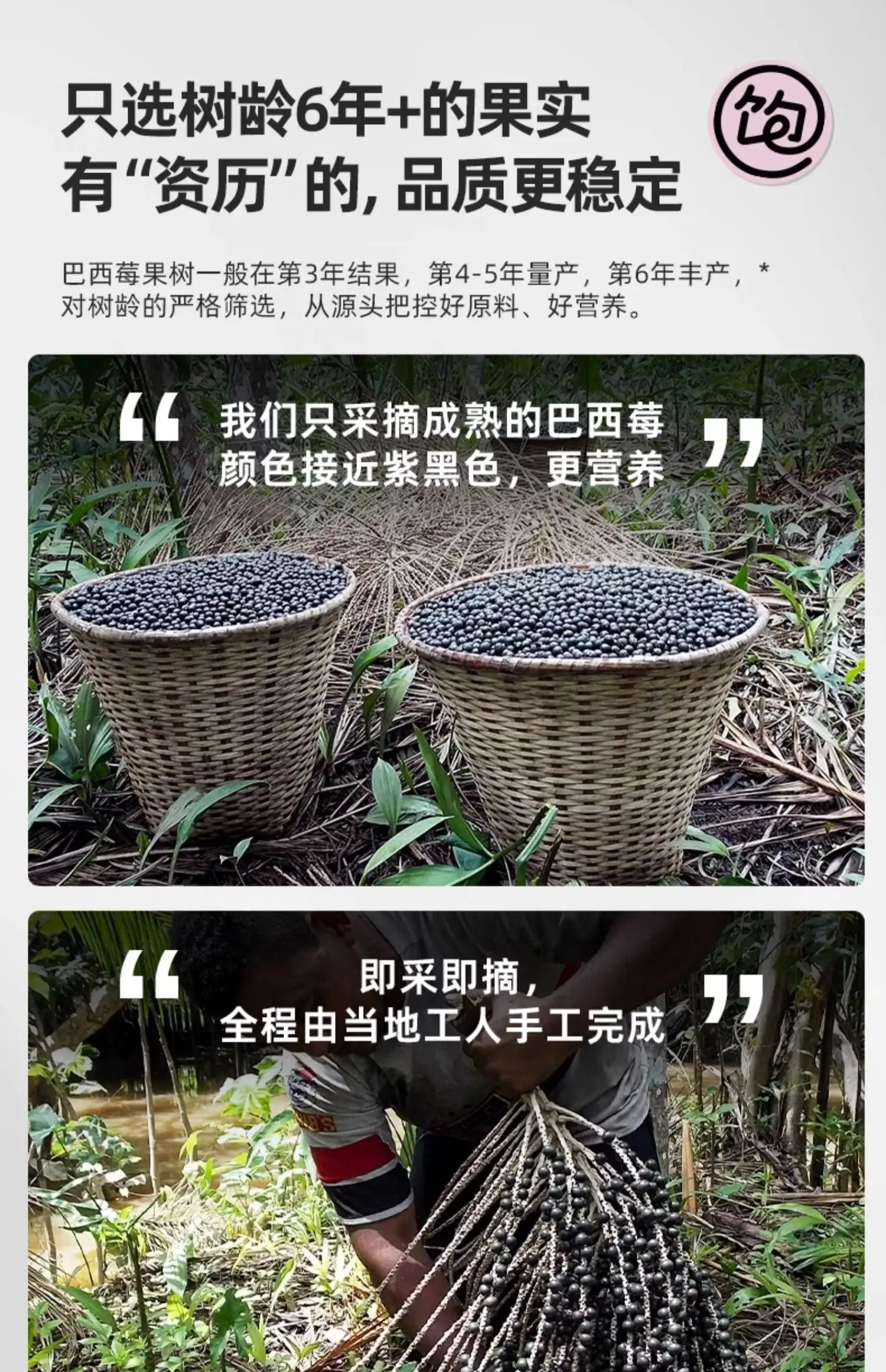 详情10.jpg