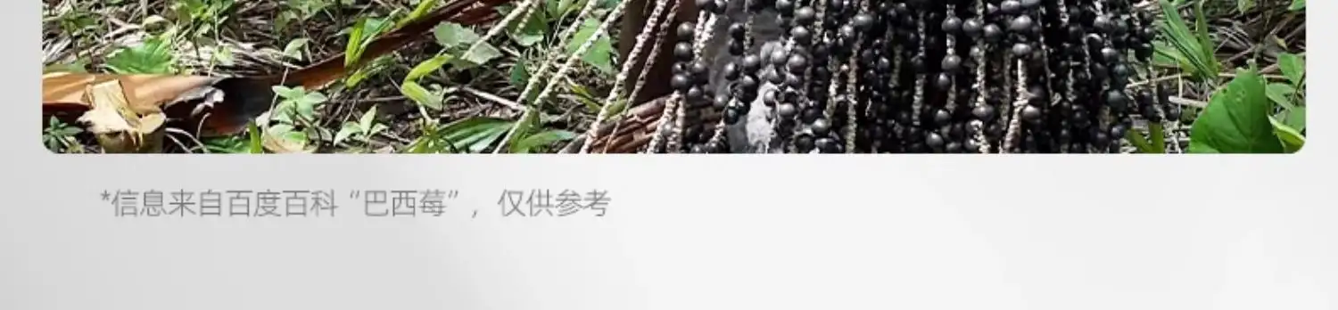 详情11.jpg