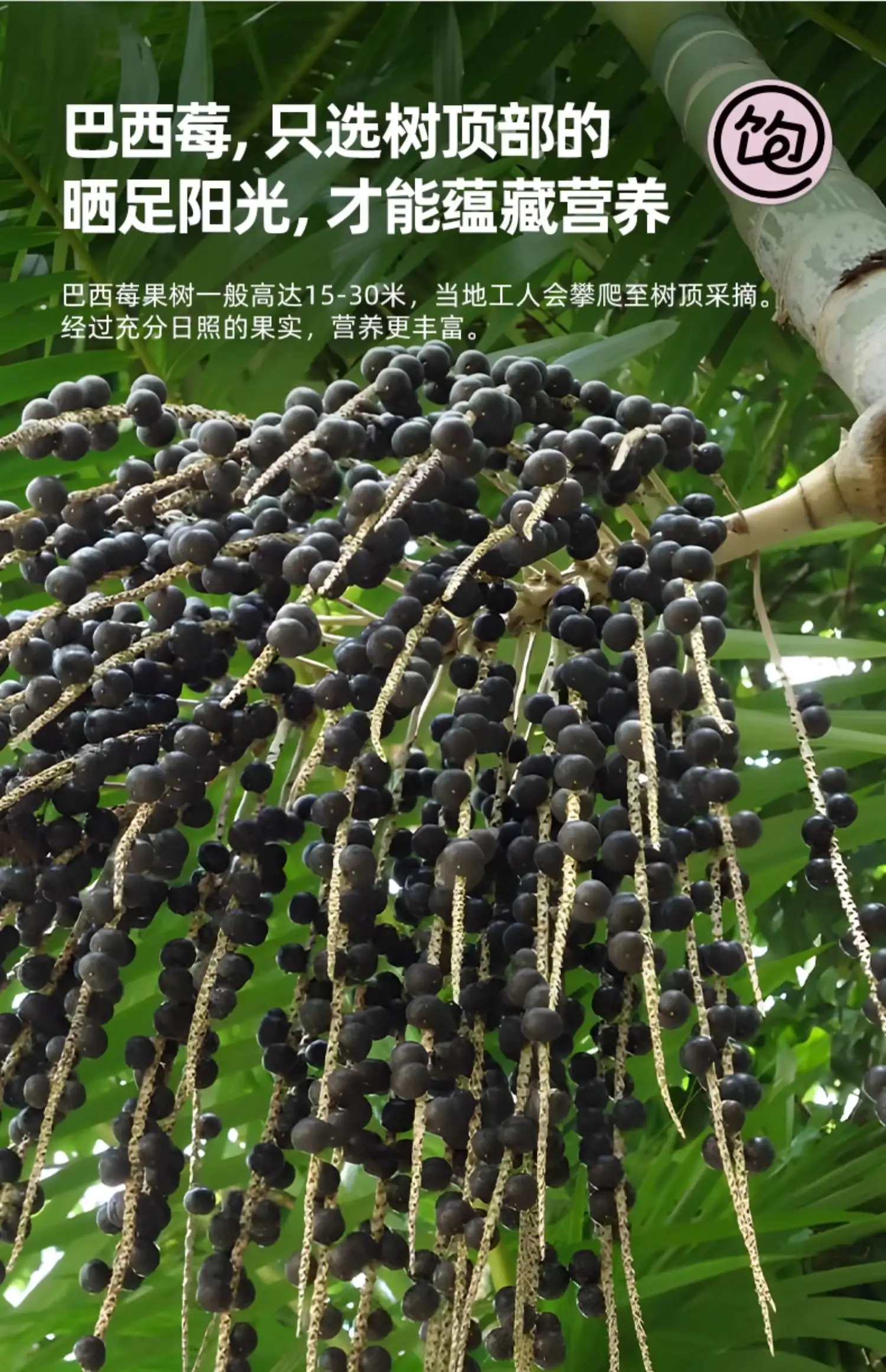 详情12.jpg