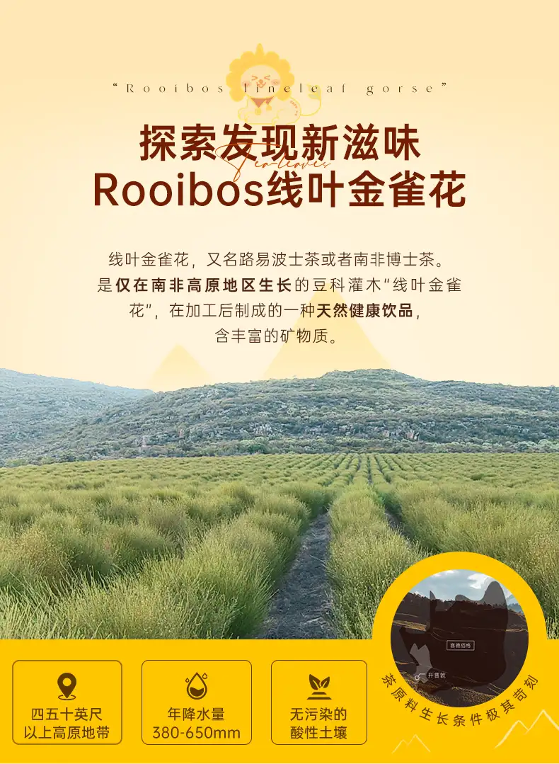 详情08.jpg