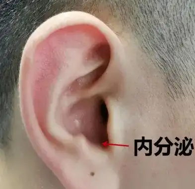 18e8ca3c-b6fb-4f17-9641-93210b789ba5.png