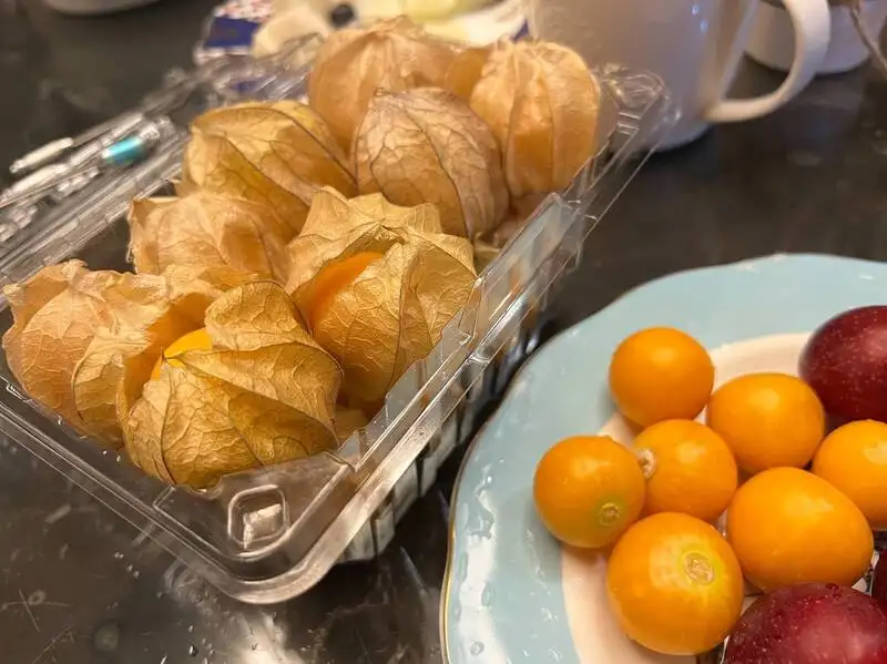 黄金灯笼果引爆健康革命！维C超柳橙6.9倍、护眼抗老全包 日台疯传的「超级莓果」