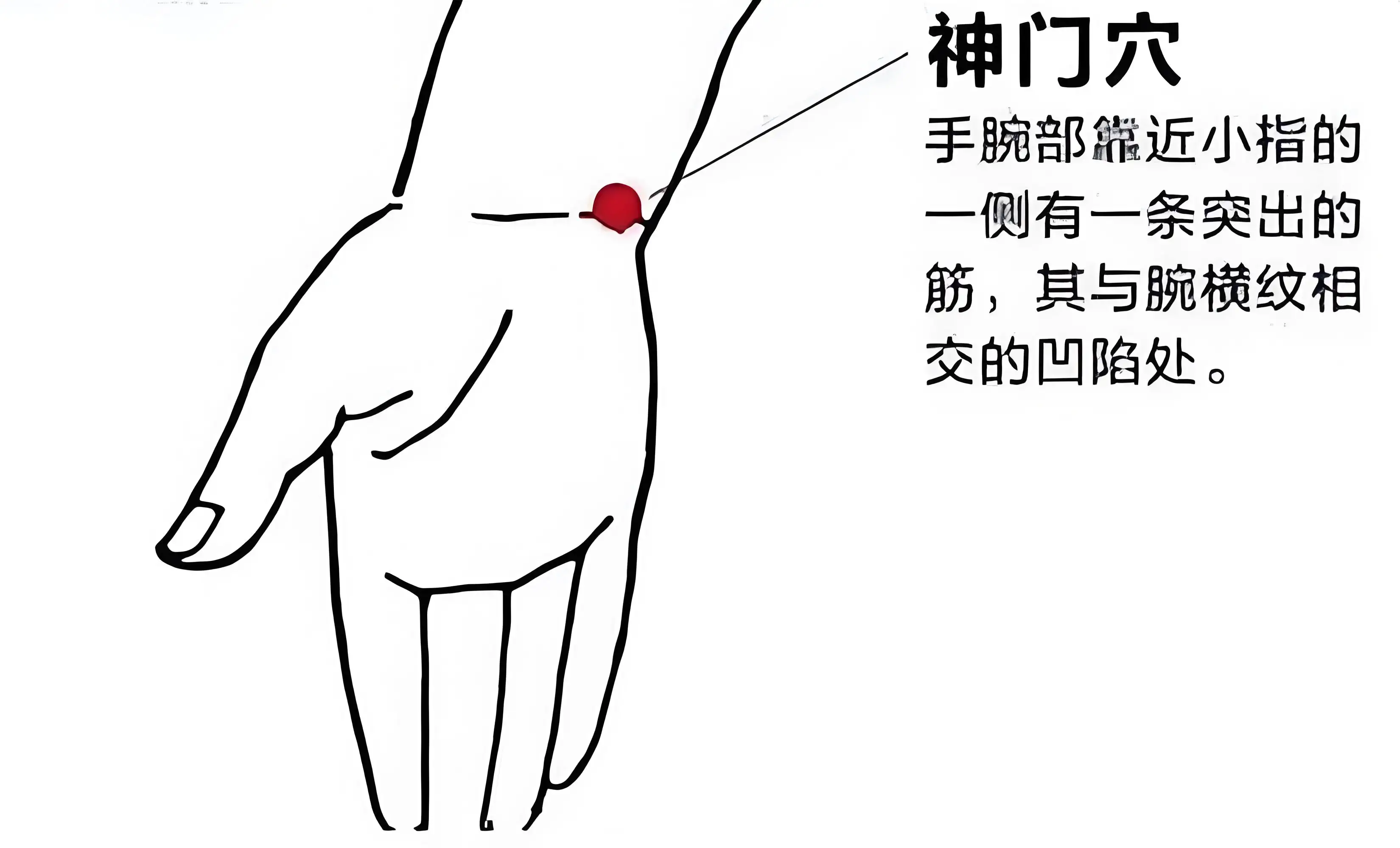 1740993489016.jpg