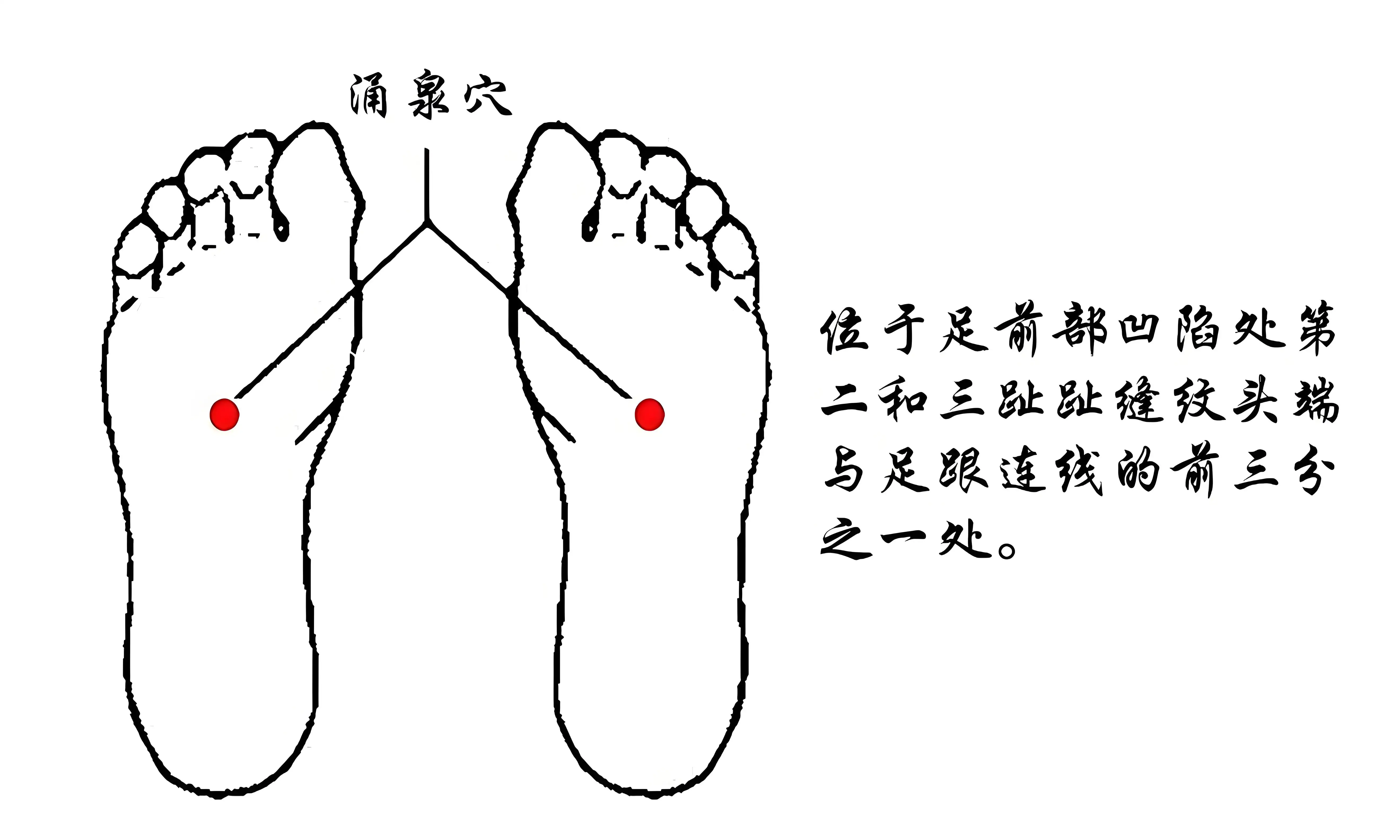 1740993666102.jpg