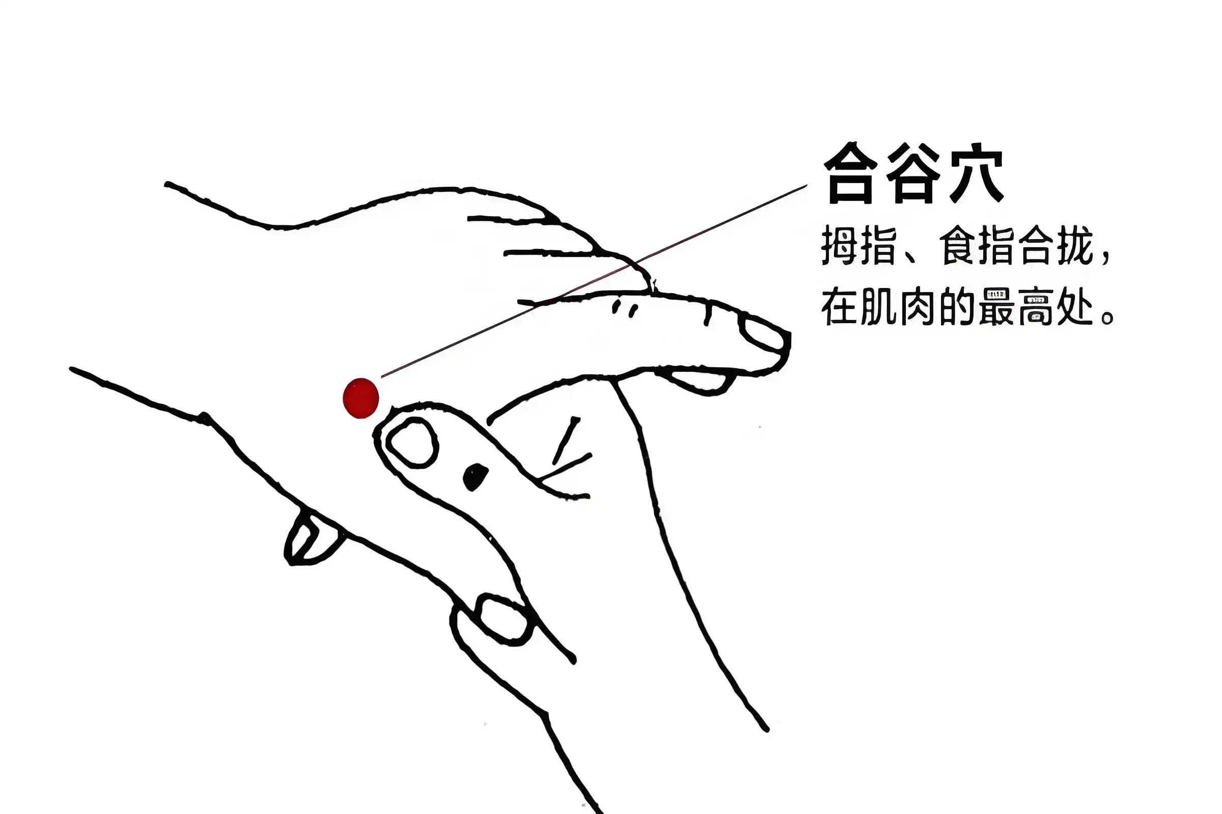 1741503752438.jpg