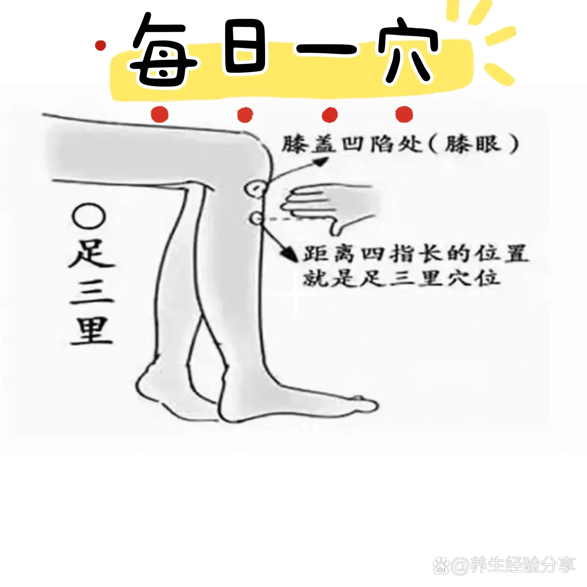 7ae611f490352caf665c16e457338118.webp